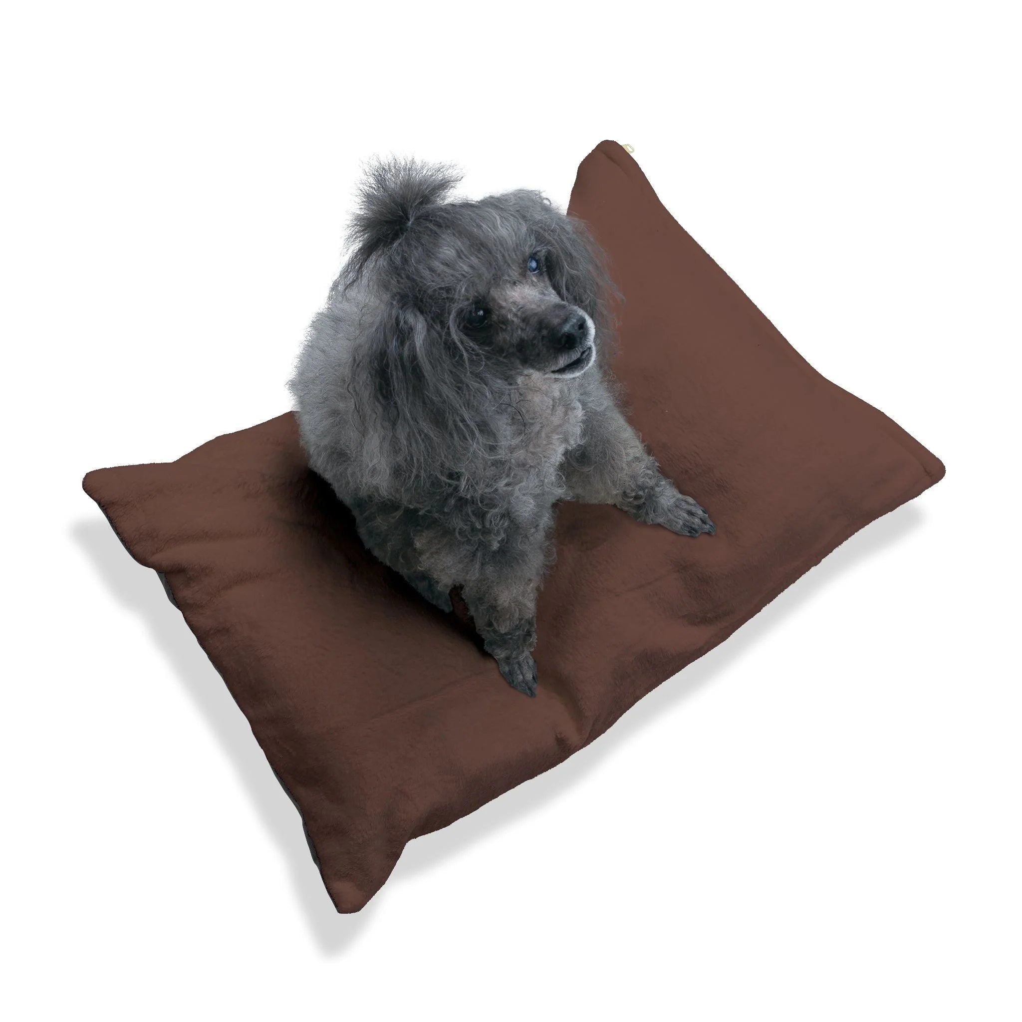 Buy The Best By Artsulli x Color Printify - Pet Bed - 2025