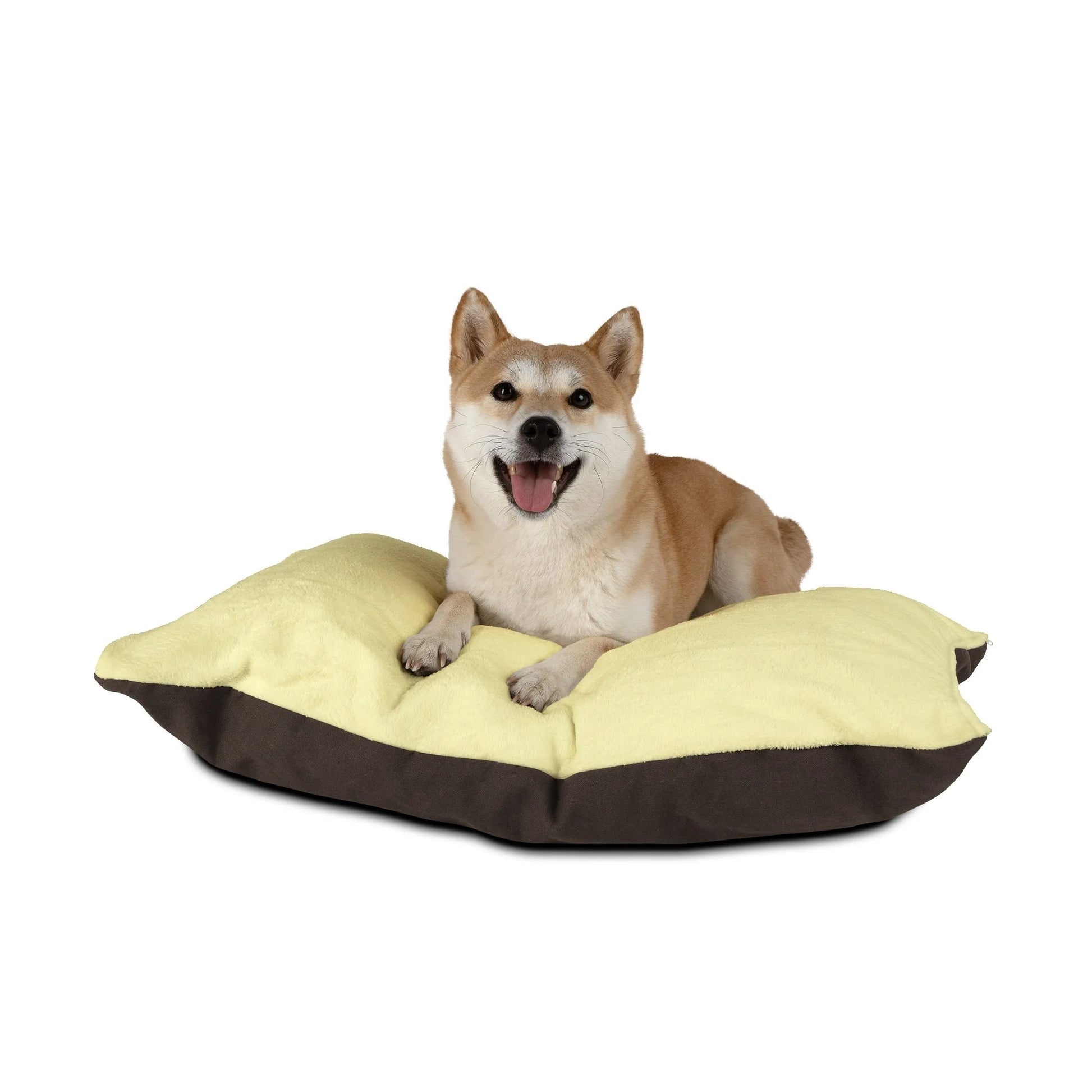 Buy The Best By Artsulli x Color Printify - Pet Bed - 2025