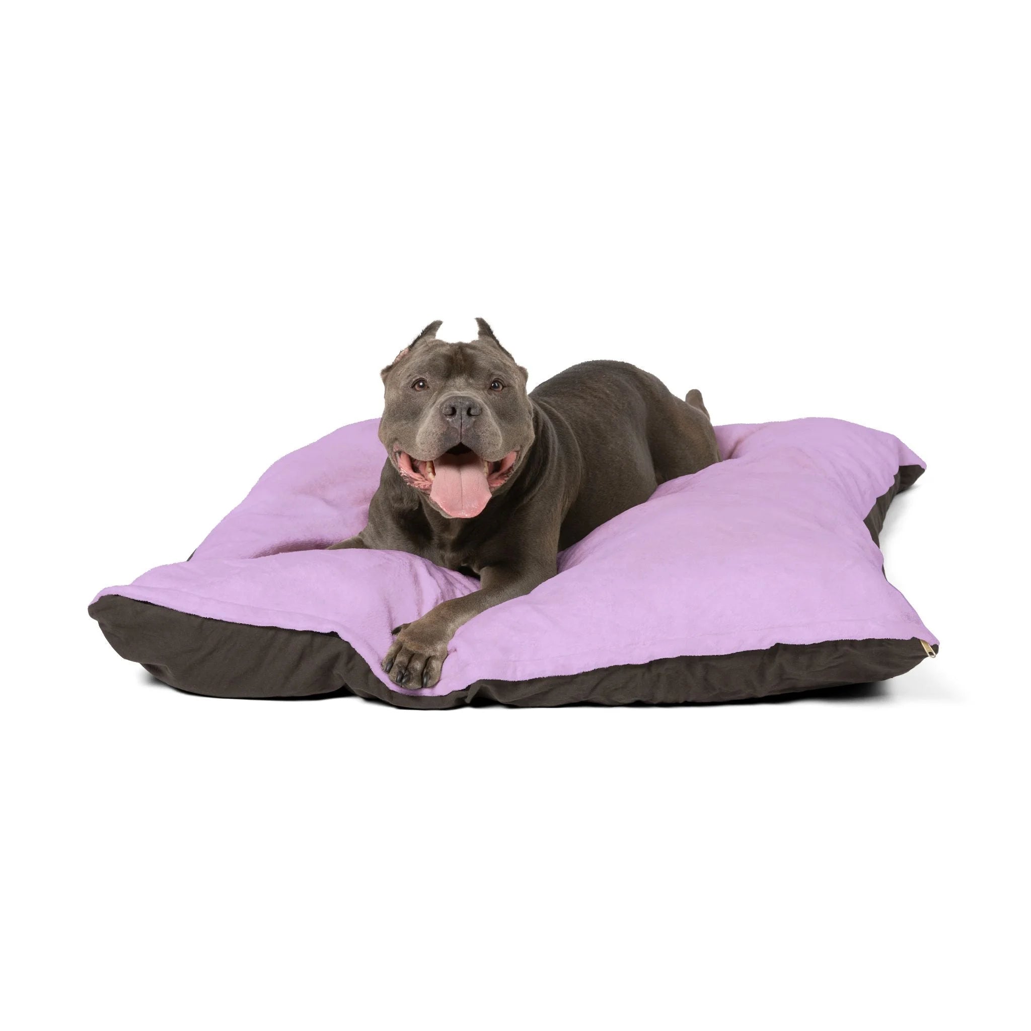 Buy The Best By Artsulli x Color Printify - Pet Bed - 2025