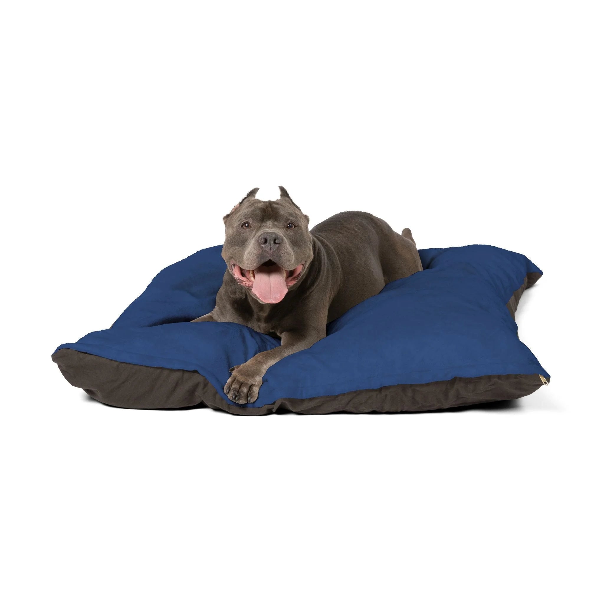 Buy The Best By Artsulli x Color Printify - Pet Bed - 2025