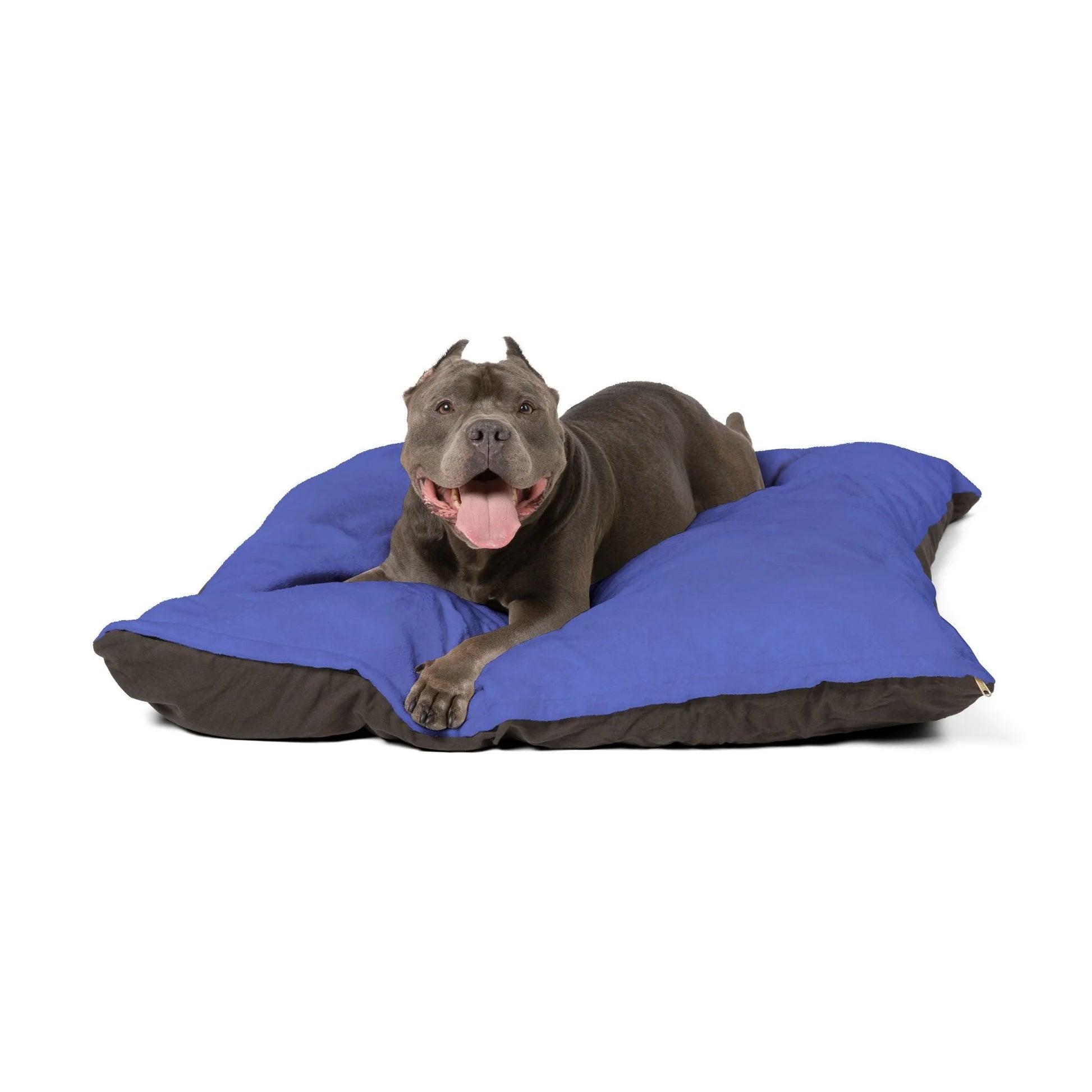 Buy The Best By Artsulli x Color Printify - Pet Bed - 2025