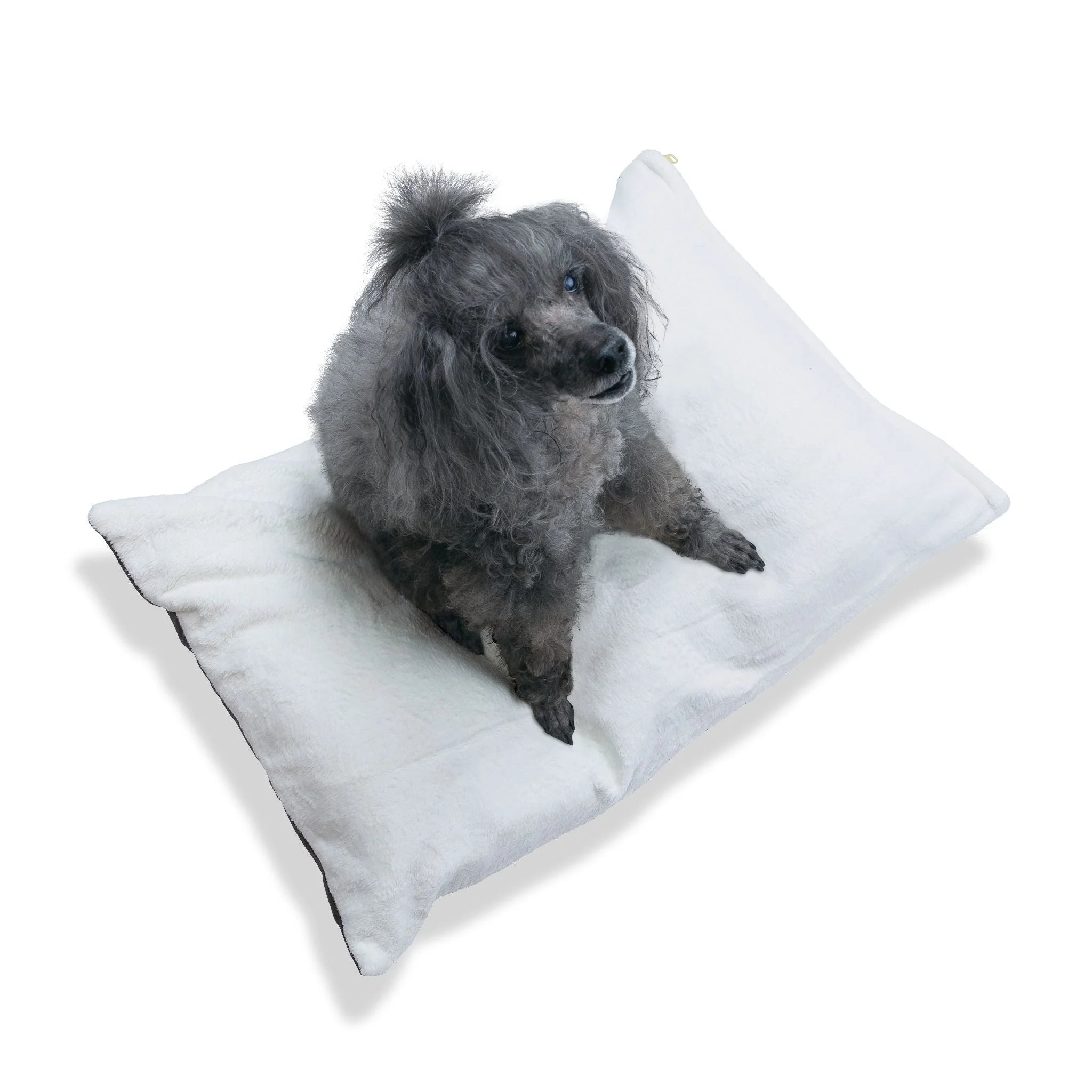 Buy The Best By Artsulli x Color Printify - Pet Bed - 2025