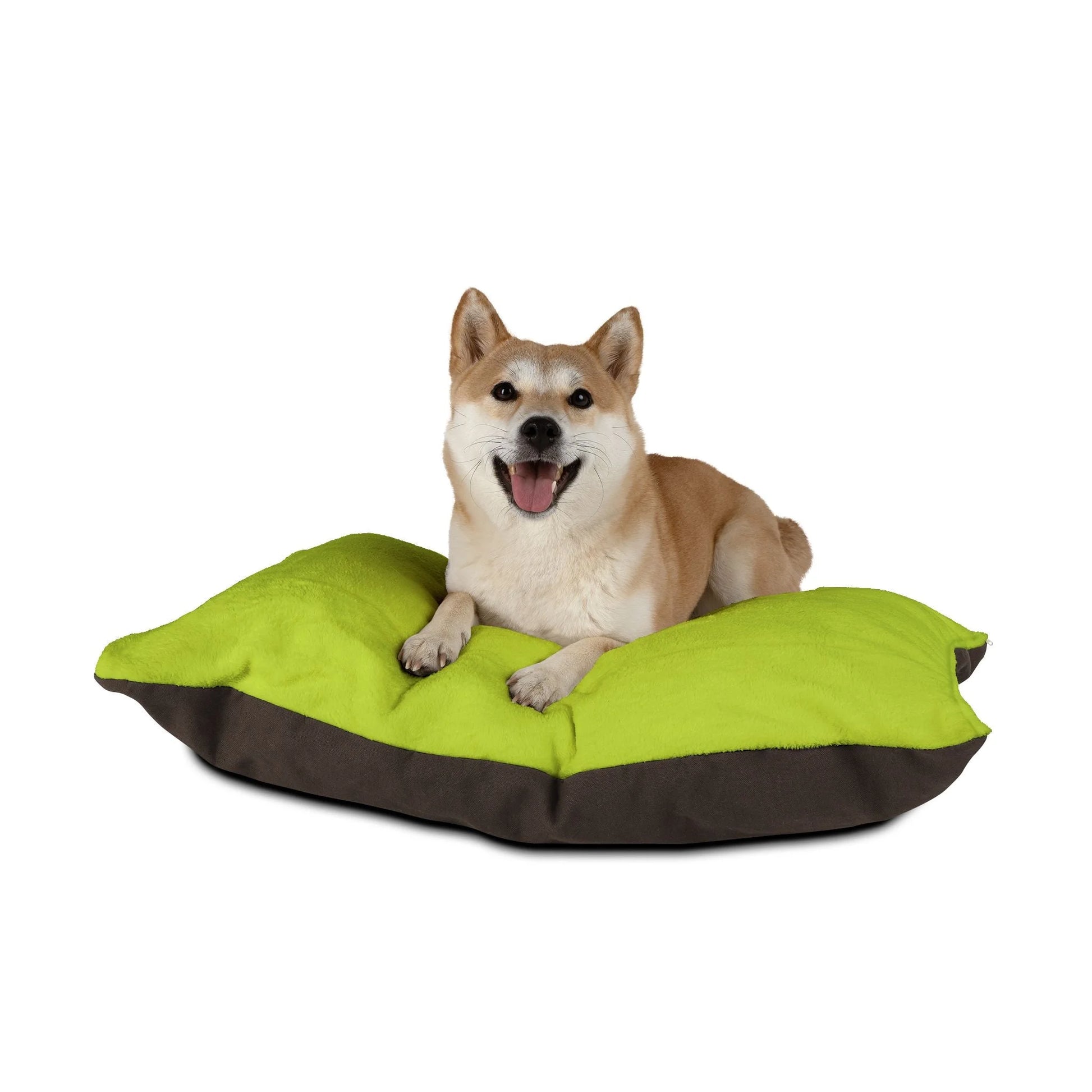 Buy The Best By Artsulli x Color Printify - Pet Bed - 2025