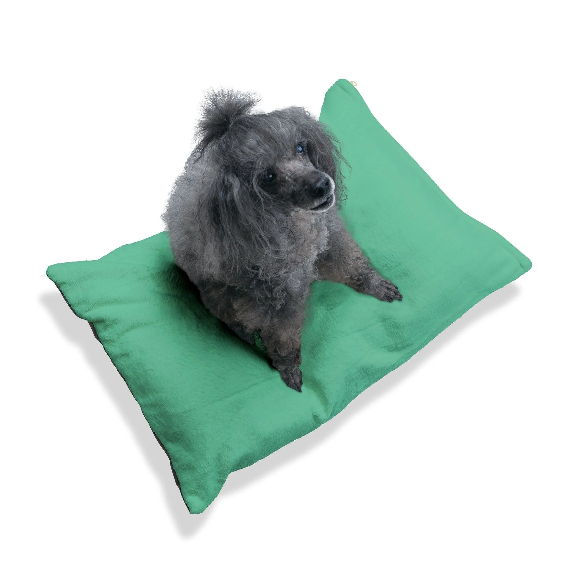 Buy The Best By Artsulli x Color Printify - Pet Bed - 2025