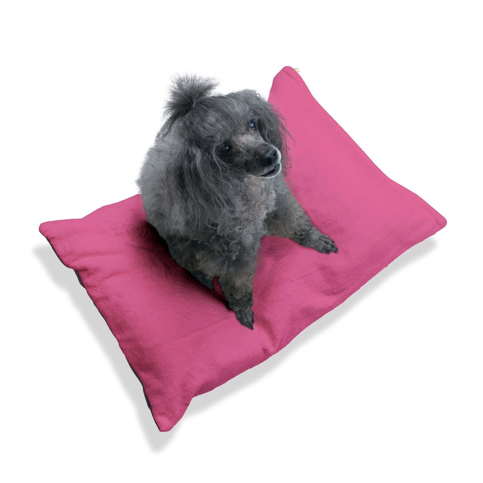Buy The Best By Artsulli x Color Printify - Pet Bed - 2025