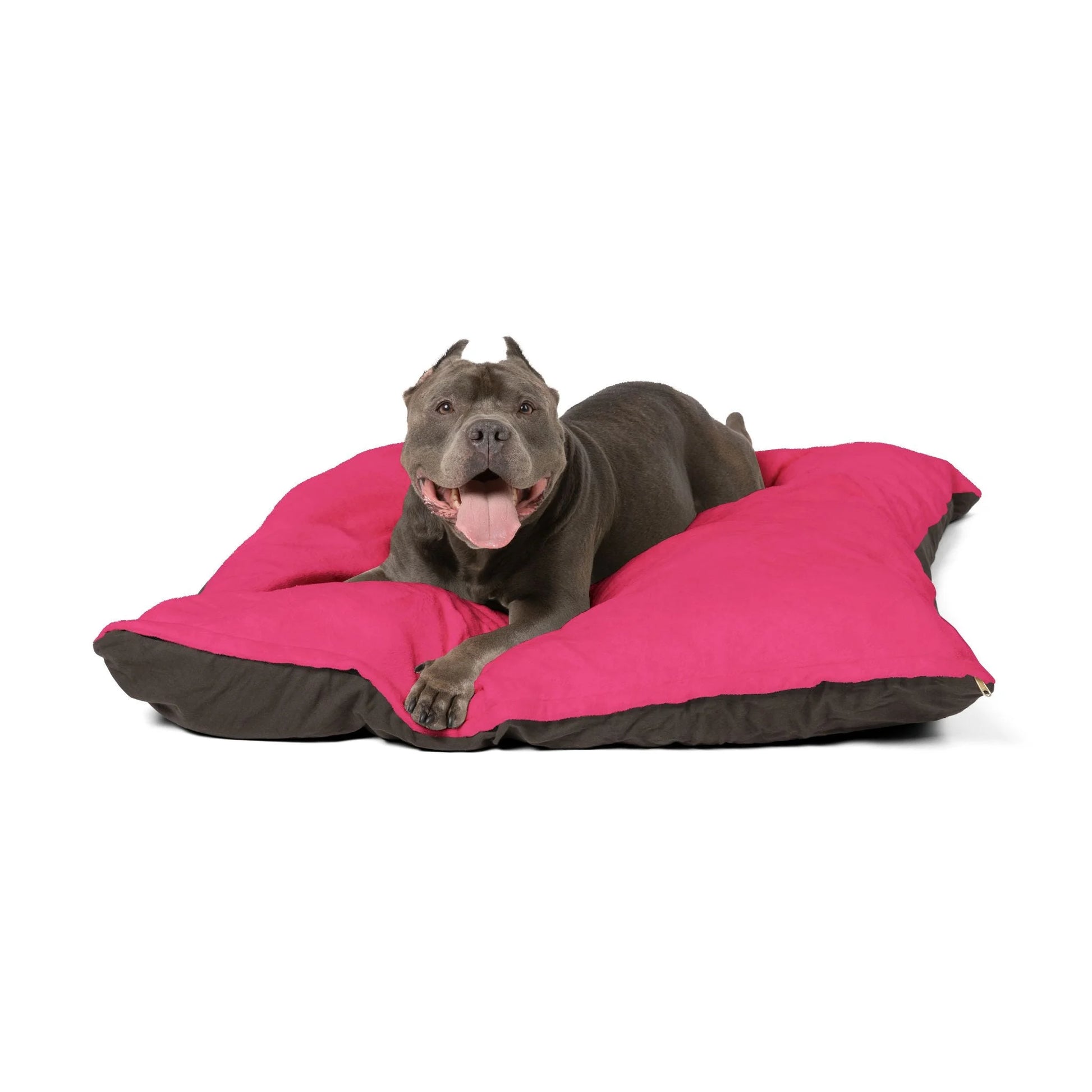 Buy The Best By Artsulli x Color Printify - Pet Bed - 2025