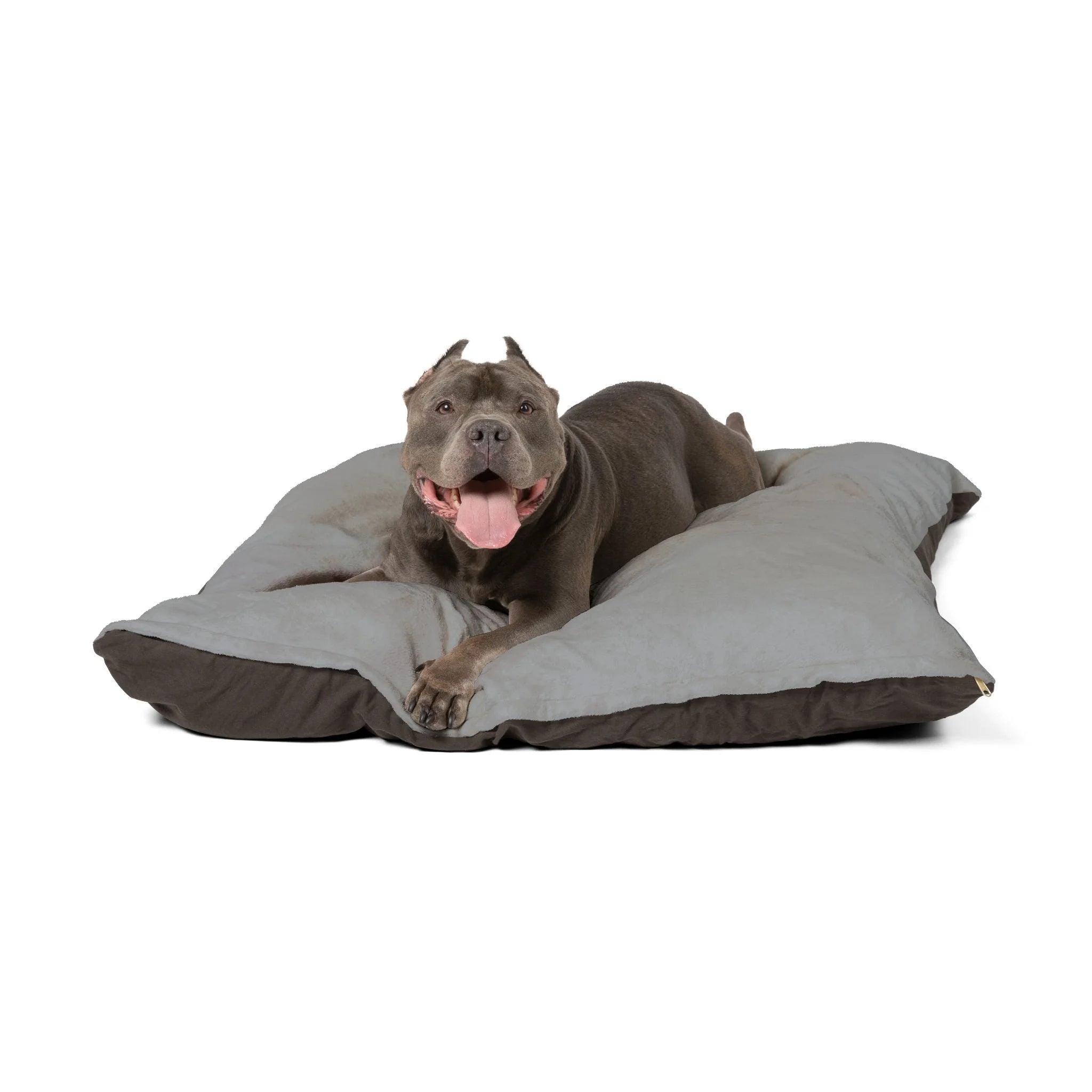 Buy The Best By Artsulli x Color Printify - Pet Bed - 2025