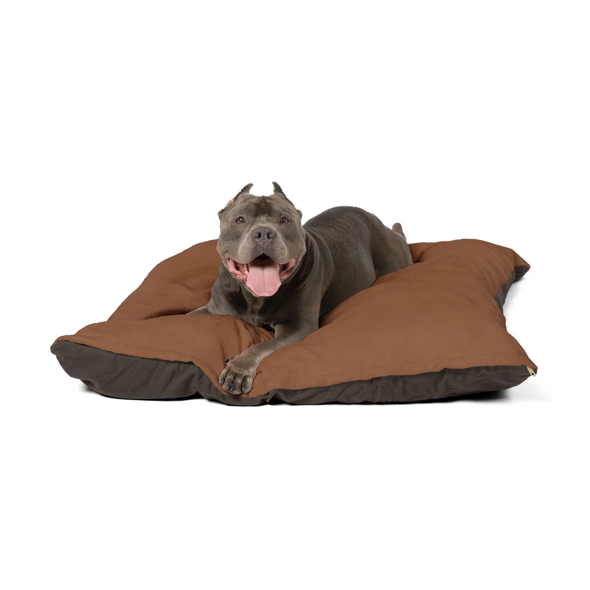 Buy The Best By Artsulli x Color Printify - Pet Bed - 2025