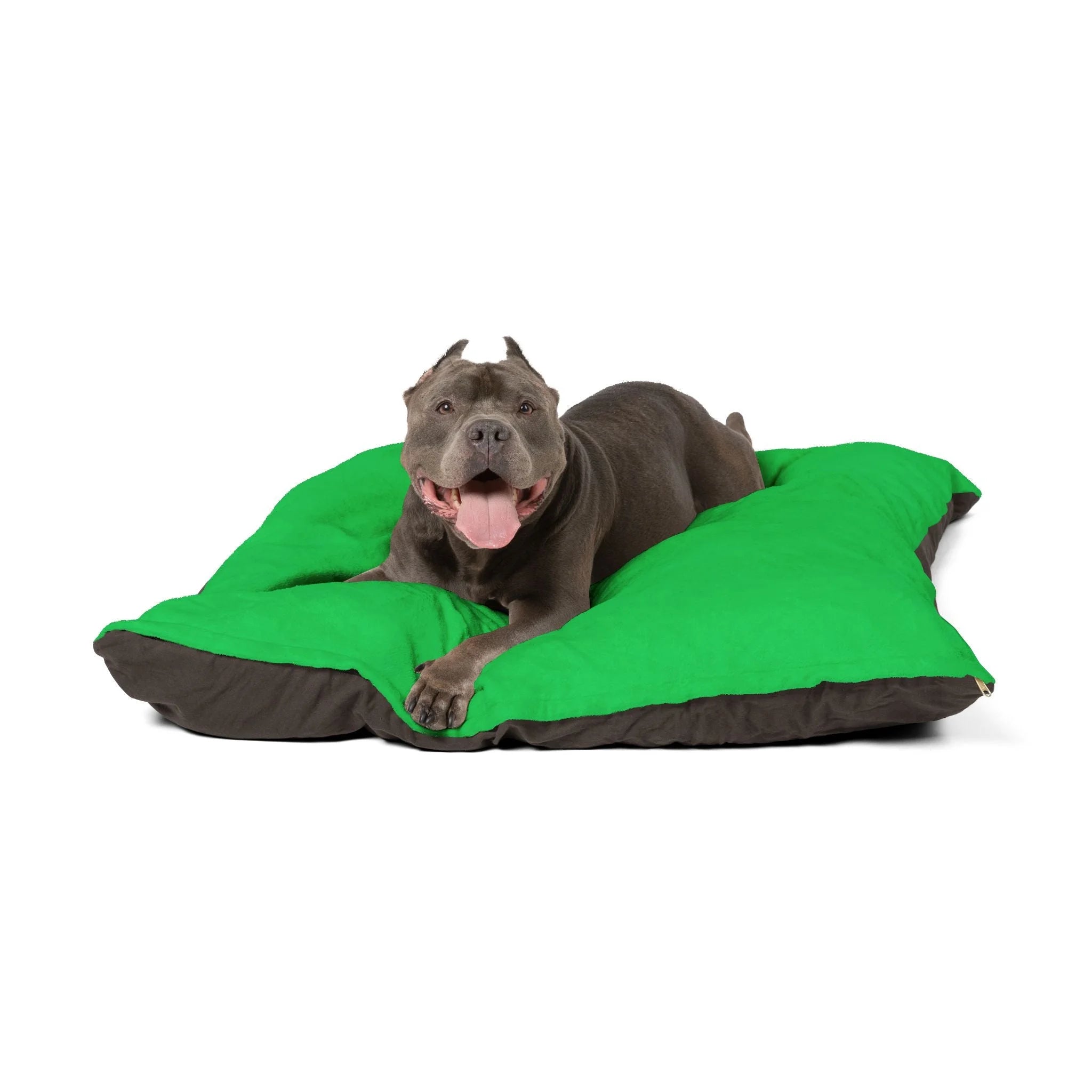 Buy The Best By Artsulli x Color Printify - Pet Bed - 2025