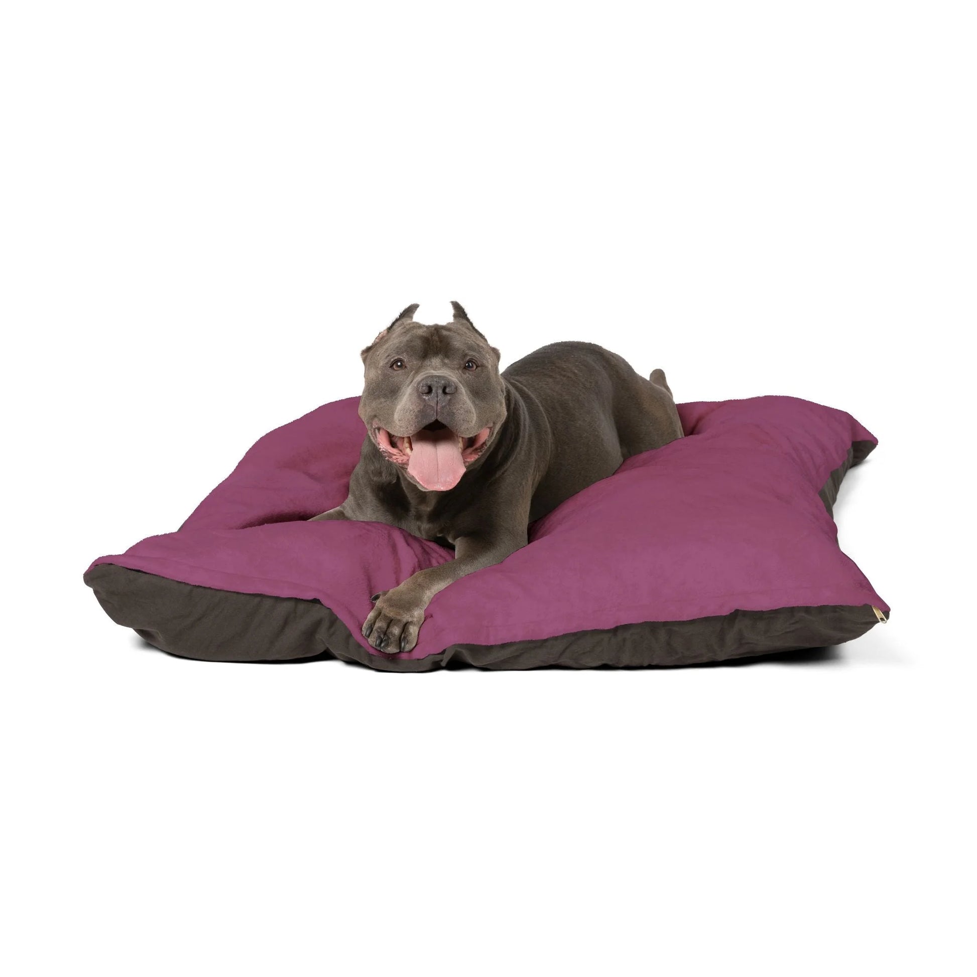 Buy The Best By Printify - Pet Bed - 2025