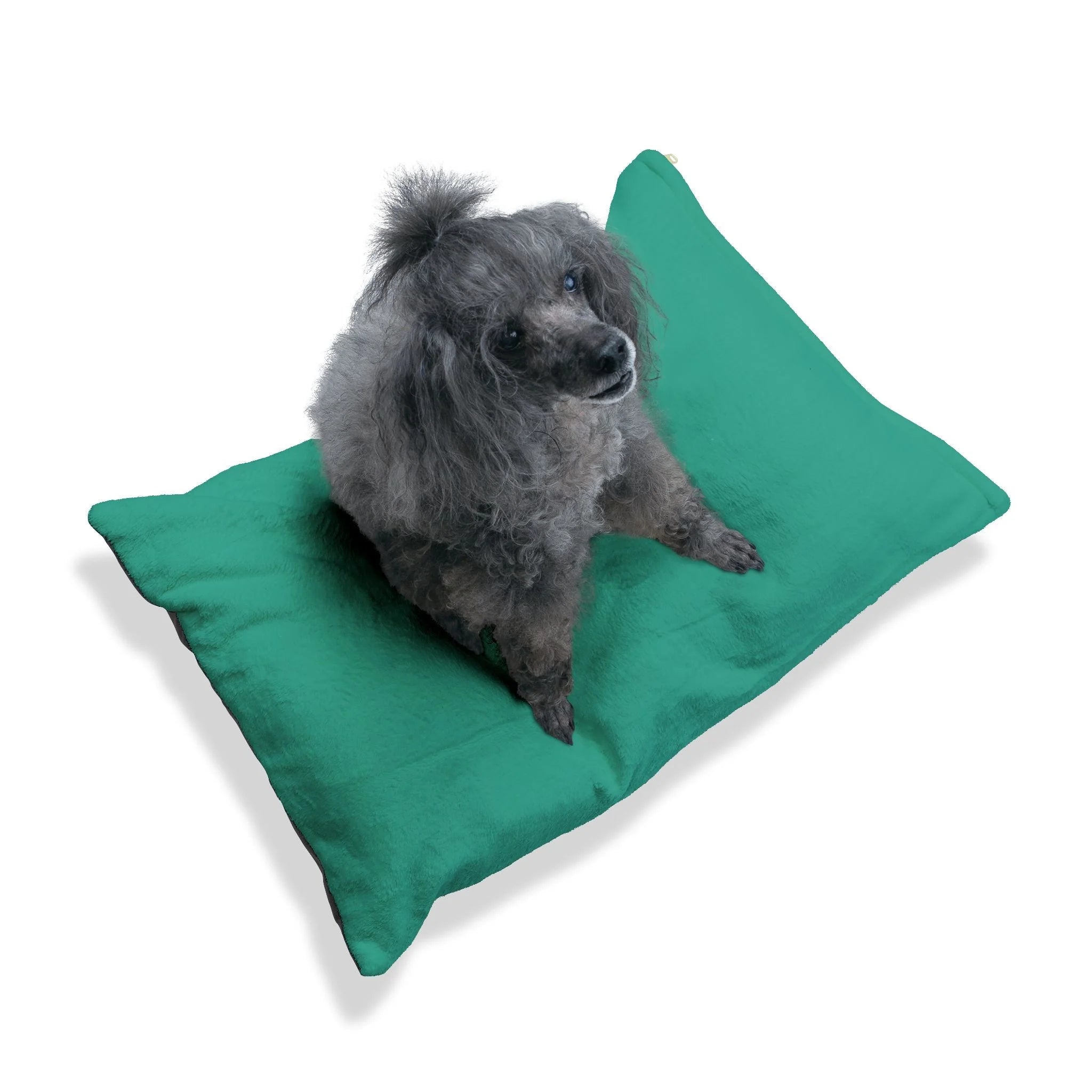 Buy The Best By Artsulli x Color Printify - Pet Bed - 2025
