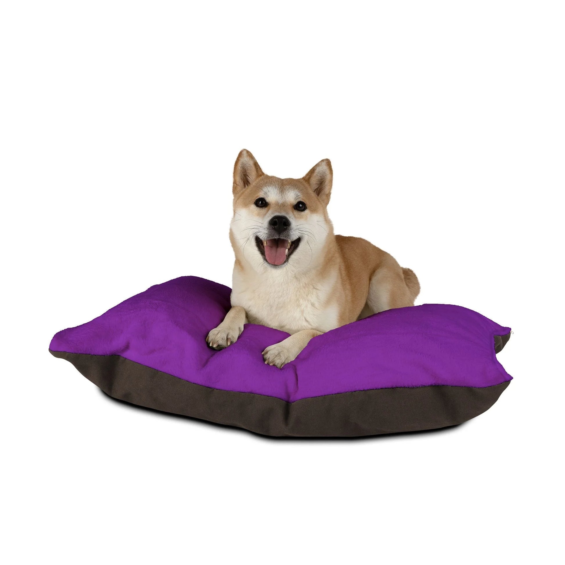 Buy The Best By Artsulli x Color Printify - Pet Bed - 2025