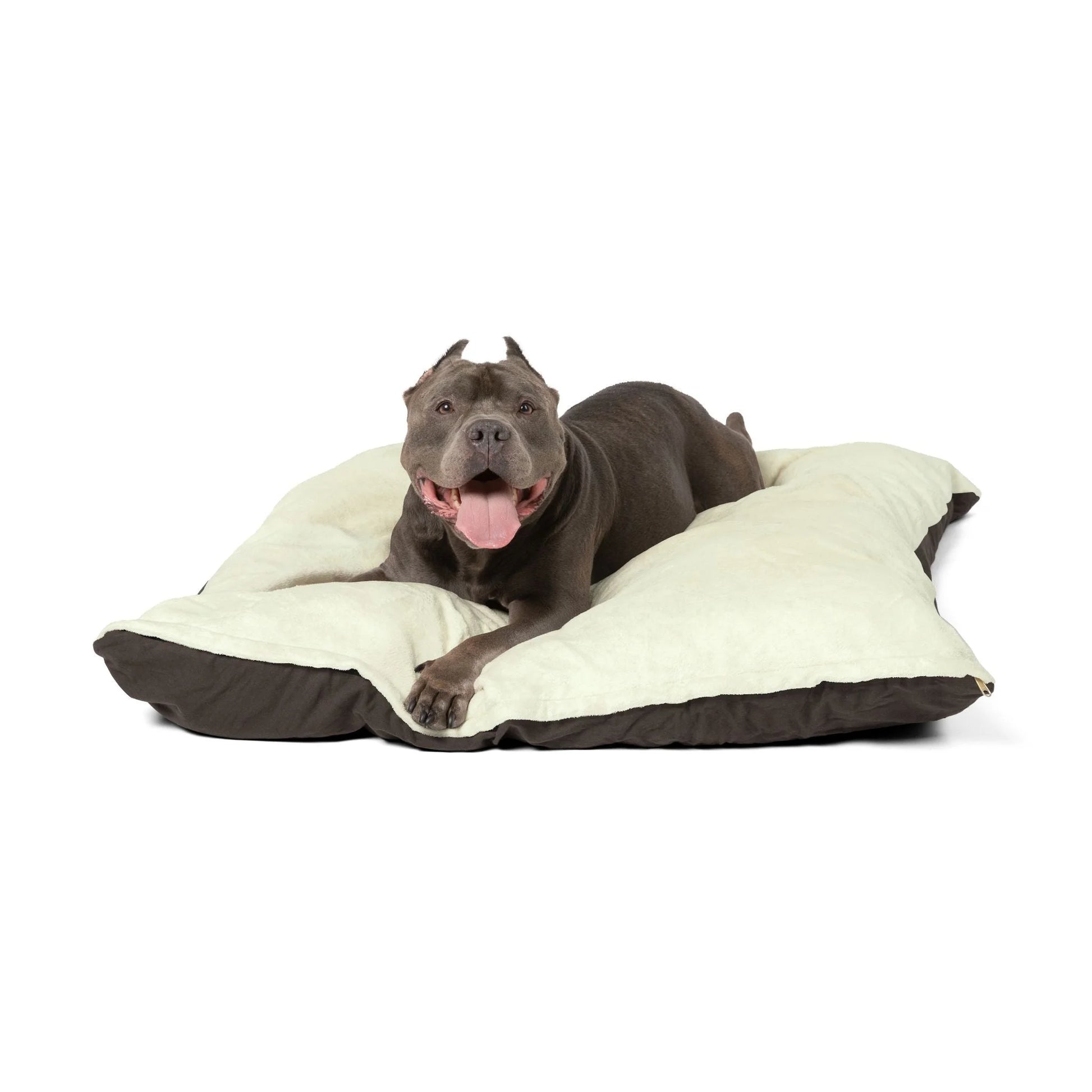 Buy The Best By Artsulli x Color Printify - Pet Bed - 2025