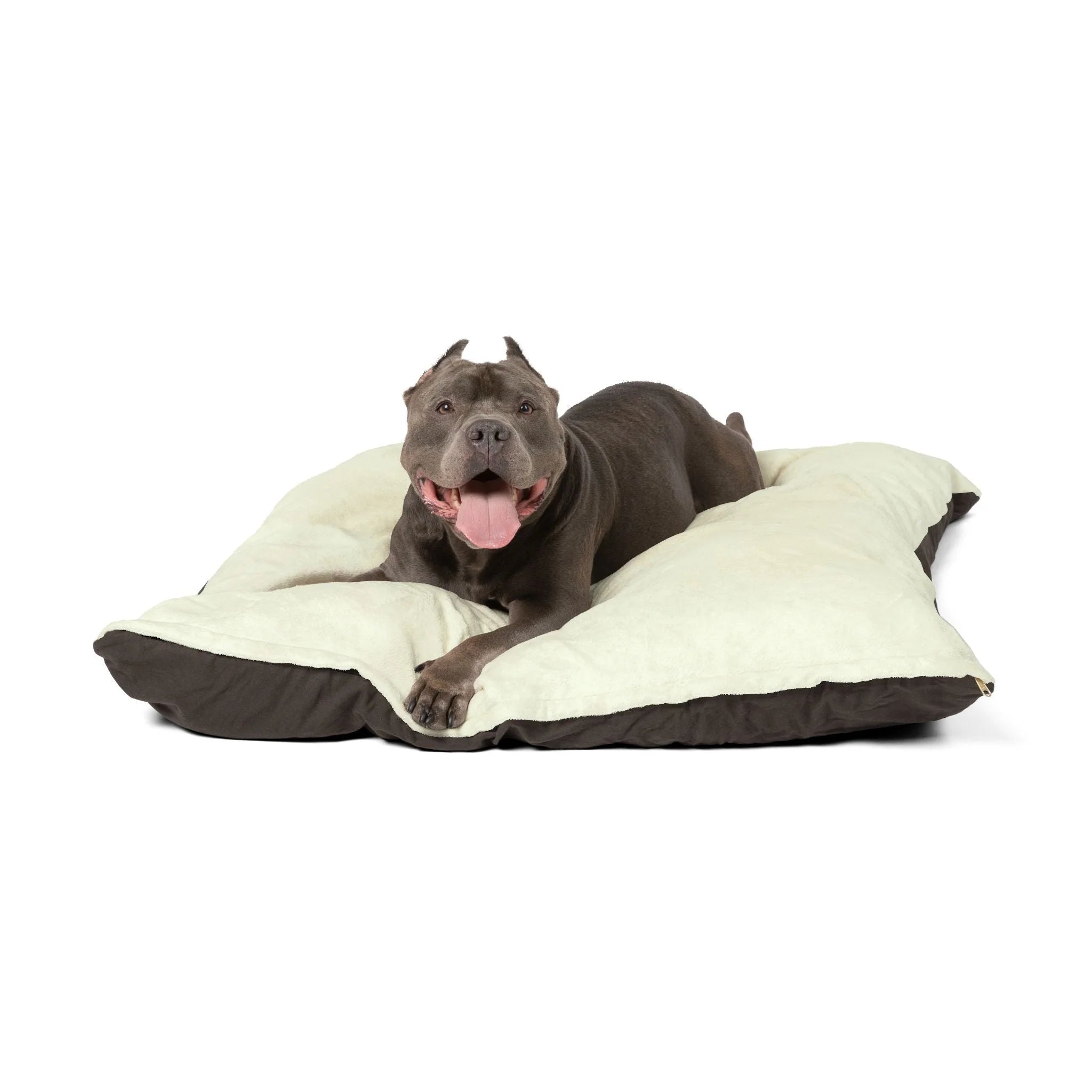 Buy The Best By Artsulli x Color Printify - Pet Bed - 2025
