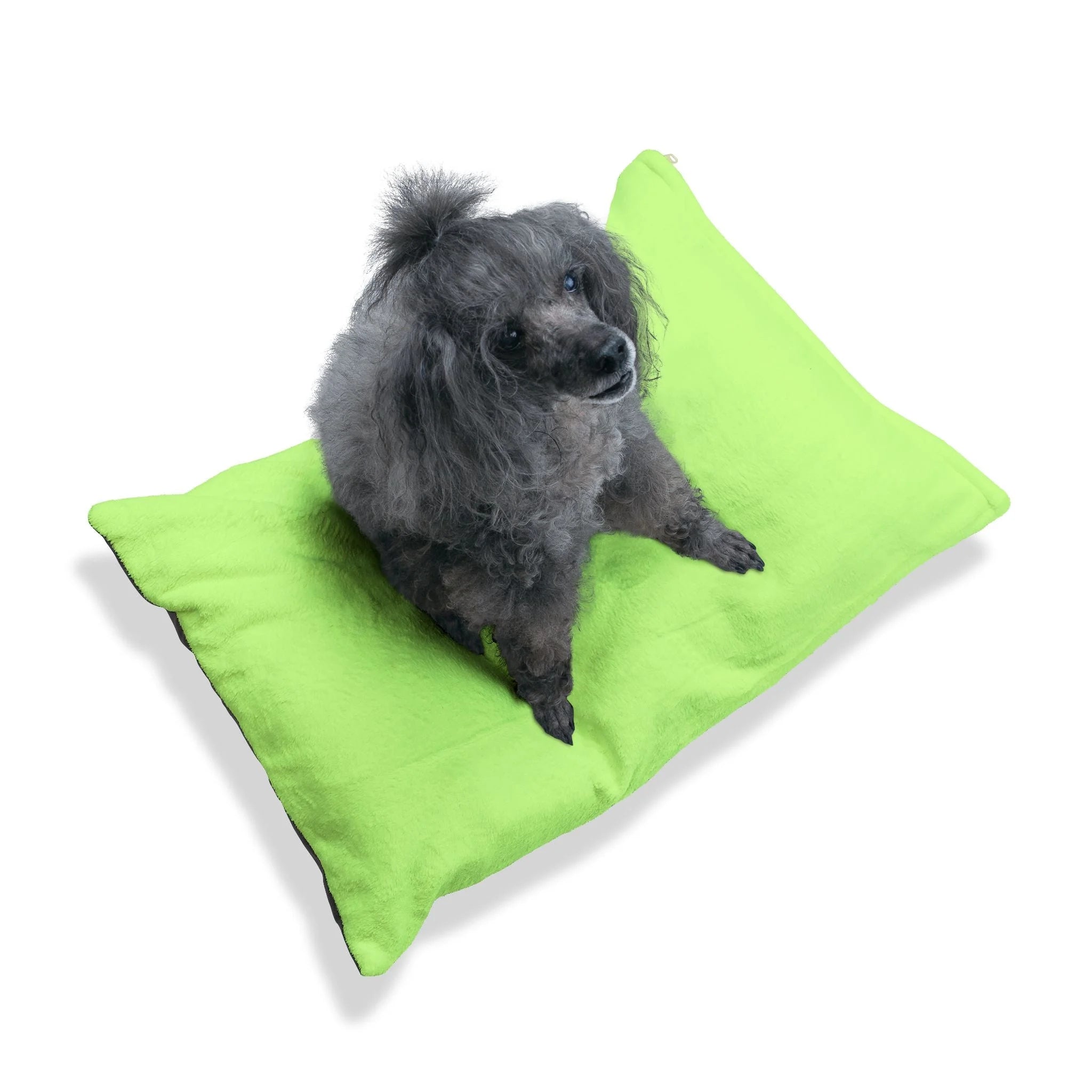Buy The Best By Artsulli x Color Printify - Pet Bed - 2025