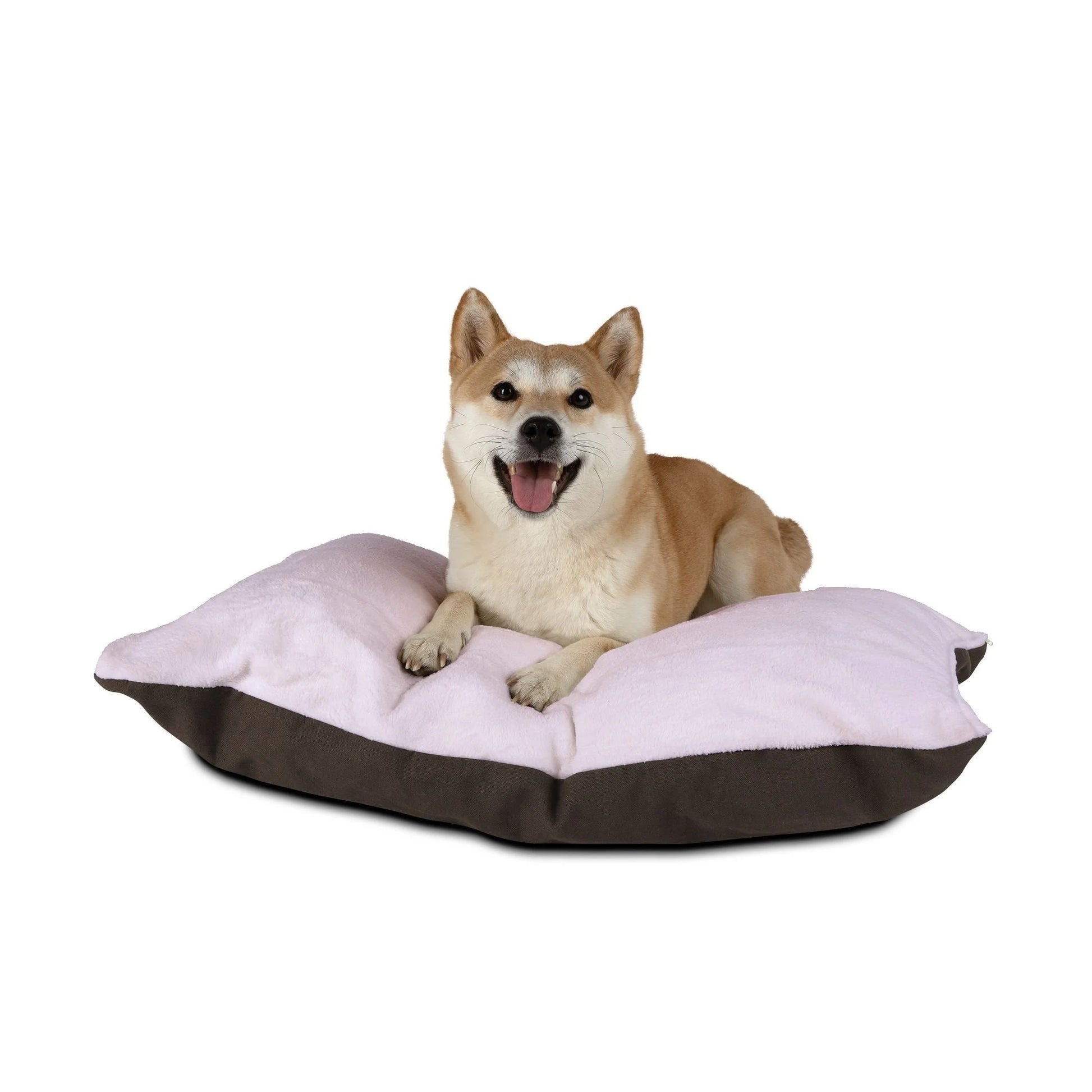 Buy The Best By Artsulli x Color Printify - Pet Bed - 2025