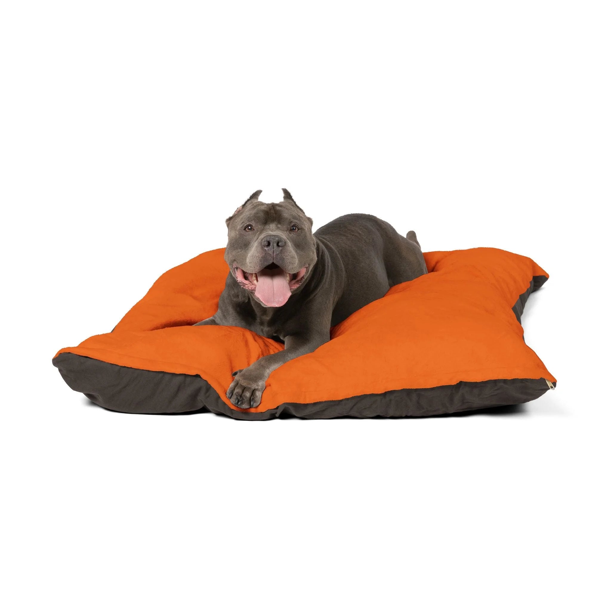 Buy The Best By Artsulli x Color Printify - Pet Bed - 2025