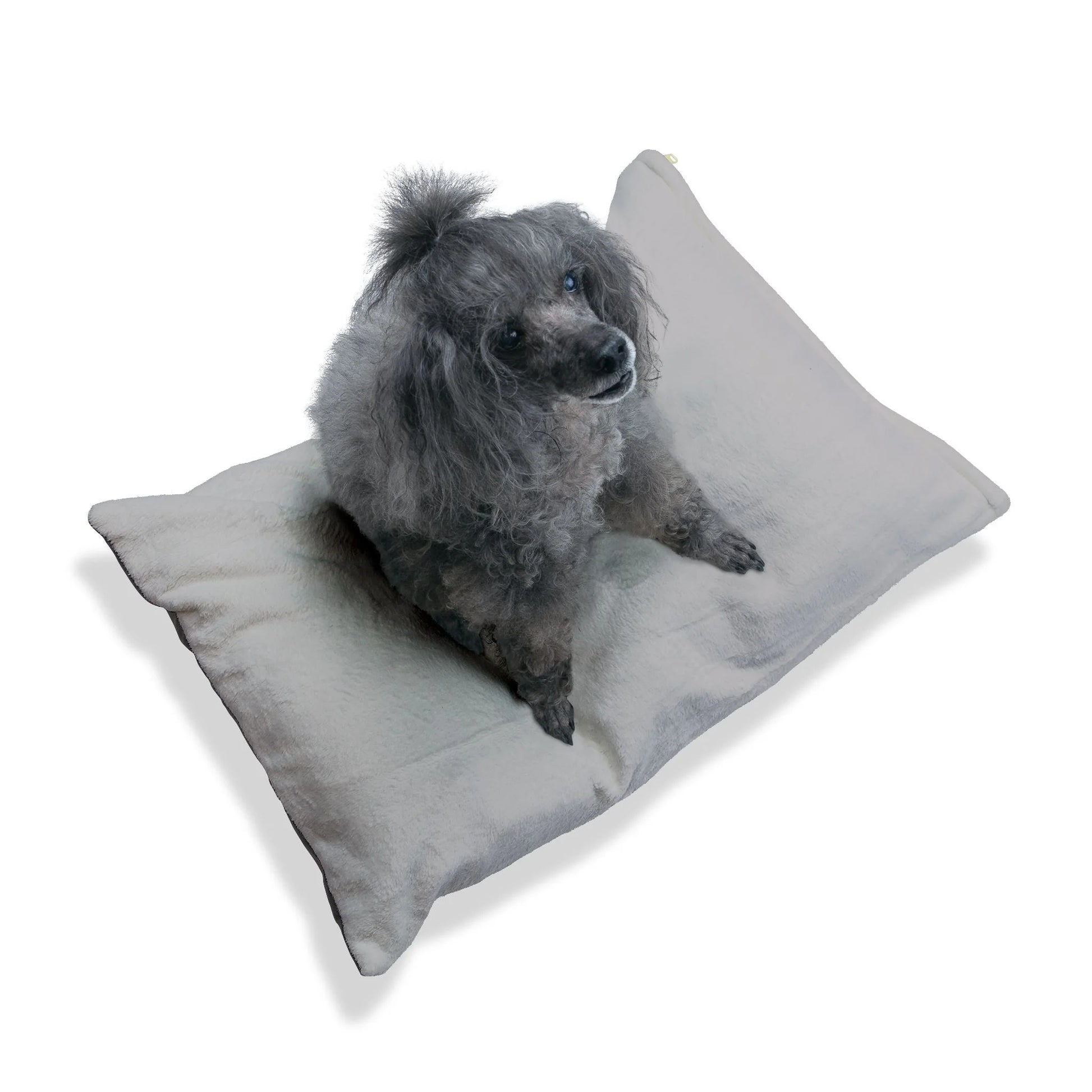 Buy The Best By Artsulli x Color Printify - Pet Bed - 2025