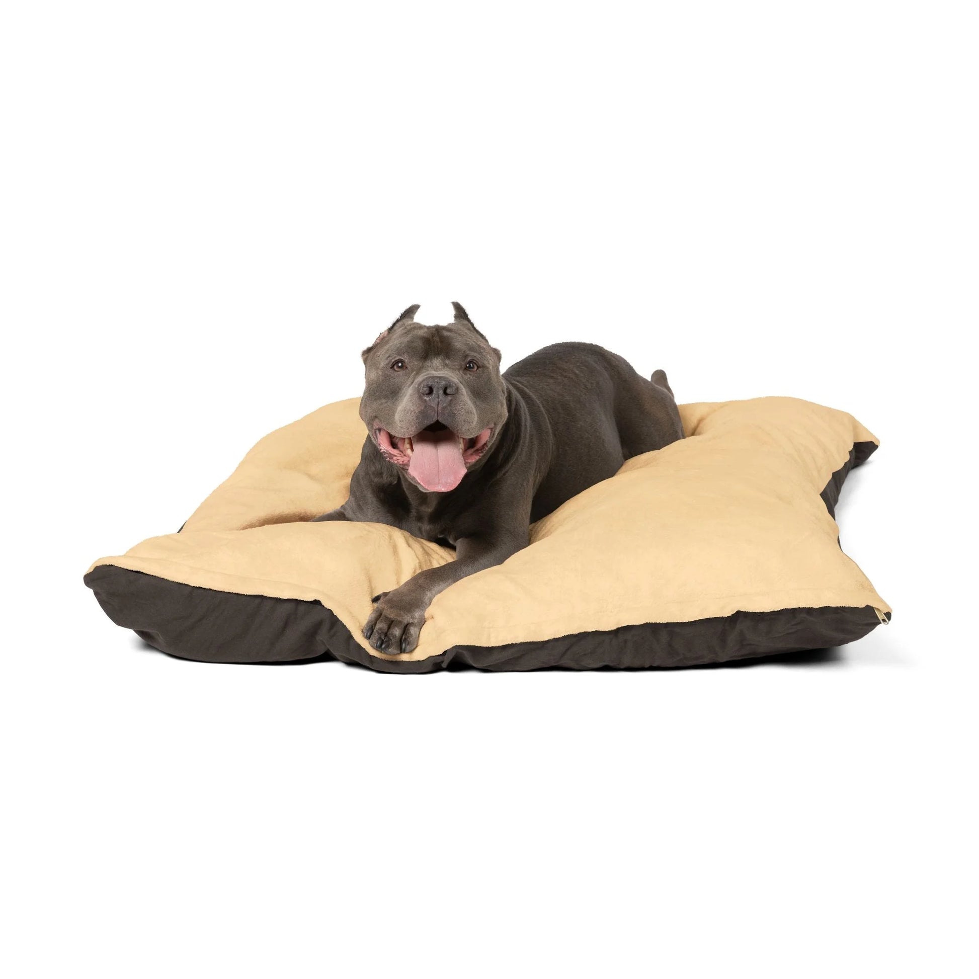 Buy The Best By Artsulli x Color Printify - Pet Bed - 2025
