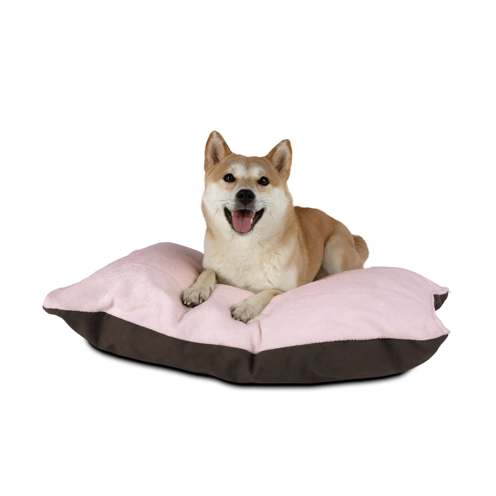 Buy The Best By Artsulli x Color Printify - Pet Bed - 2025