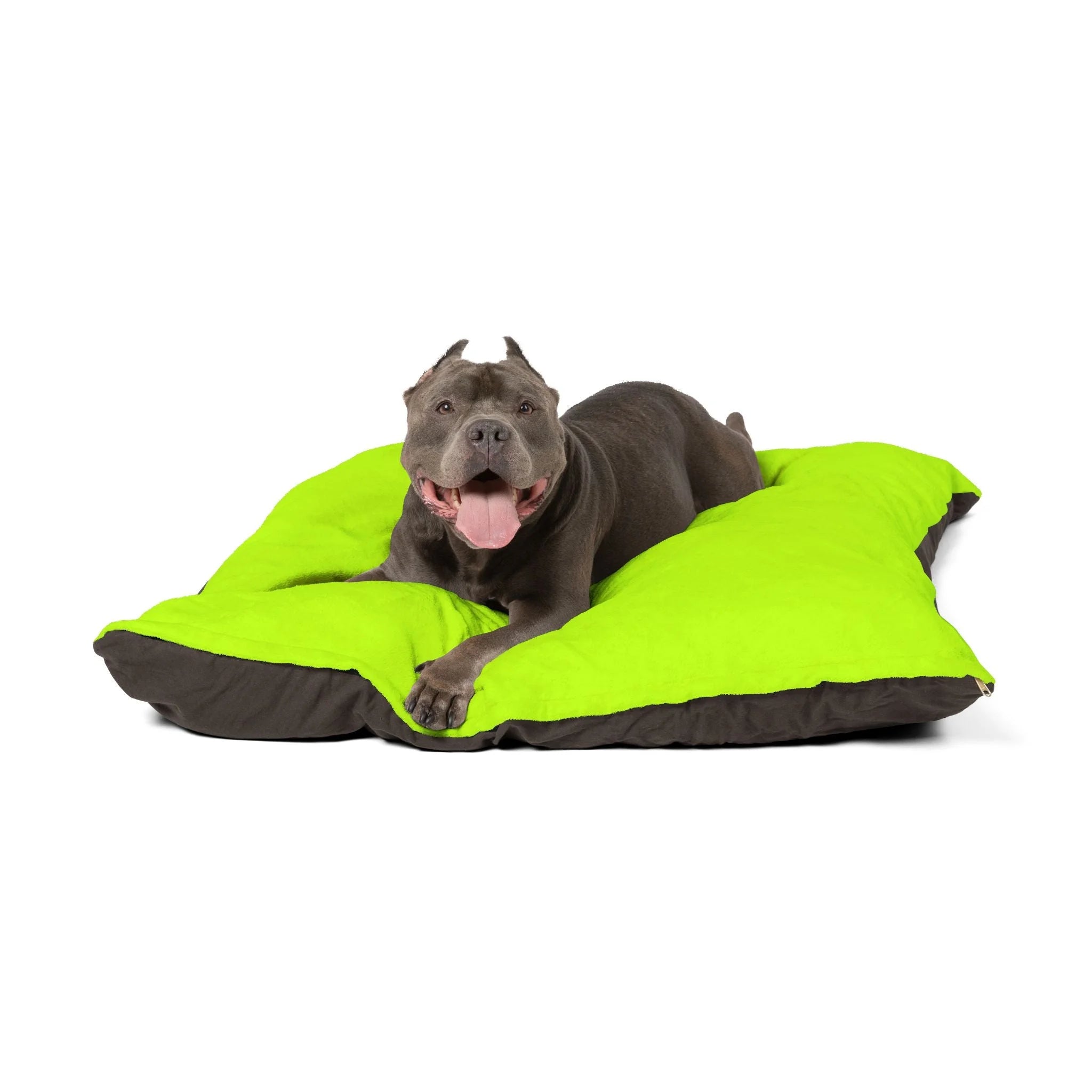 Buy The Best By Artsulli x Color Printify - Pet Bed - 2025