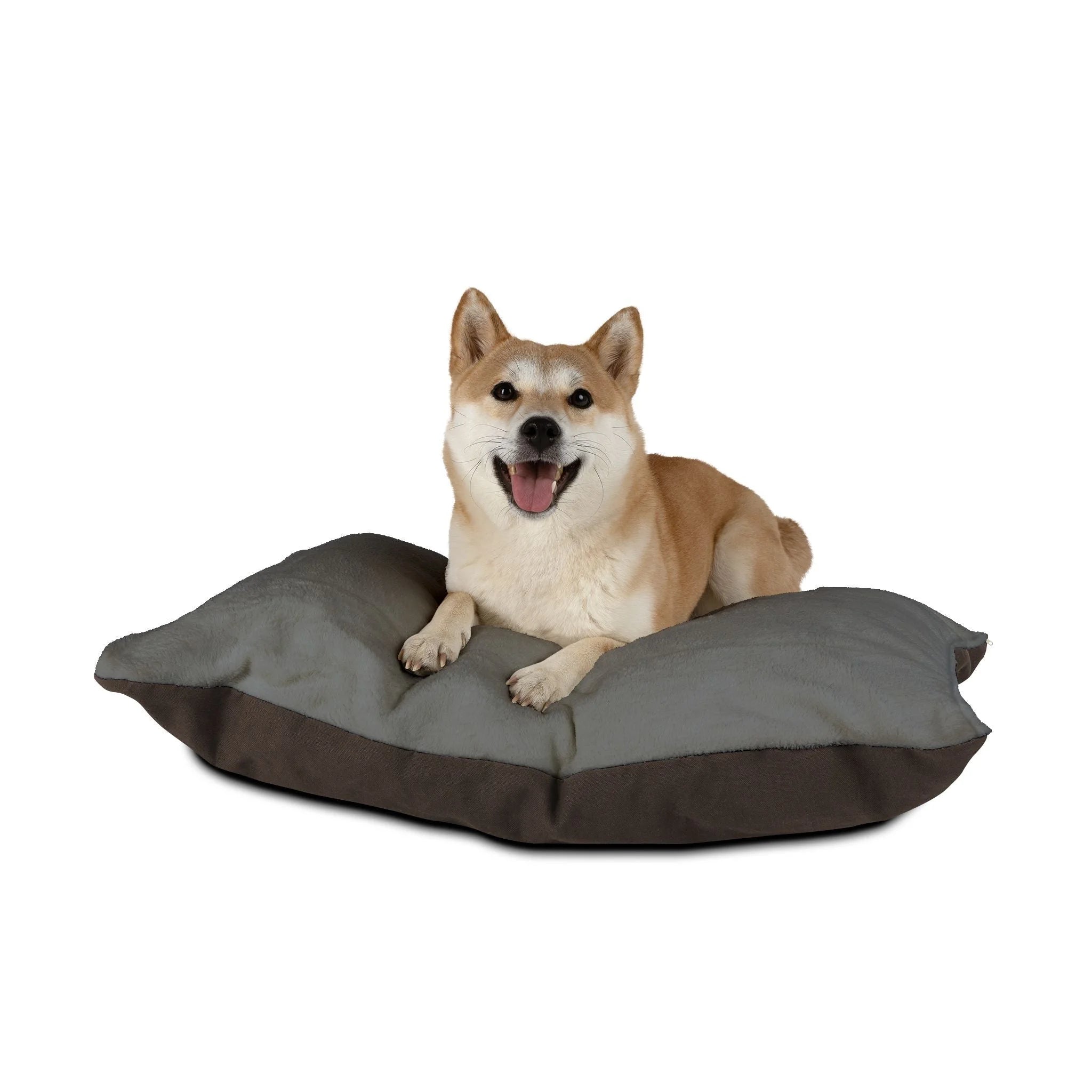 Buy The Best By Artsulli x Color Printify - Pet Bed - 2025