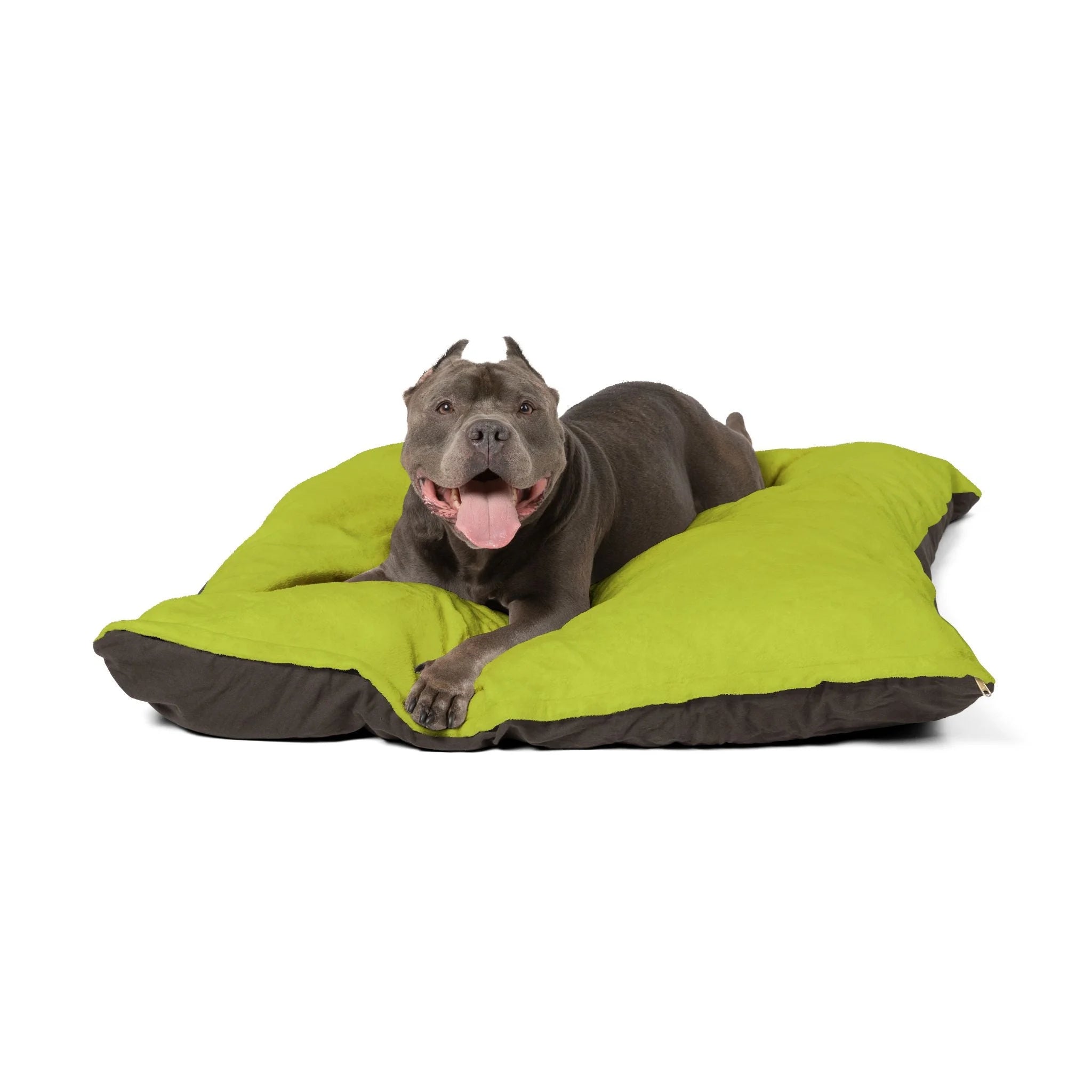 Buy The Best By Artsulli x Color Printify - Pet Bed - 2025