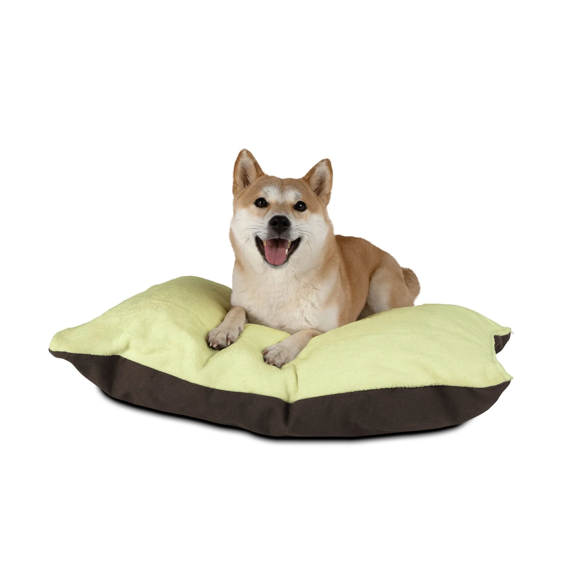 Buy The Best By Artsulli x Color Printify - Pet Bed - 2025