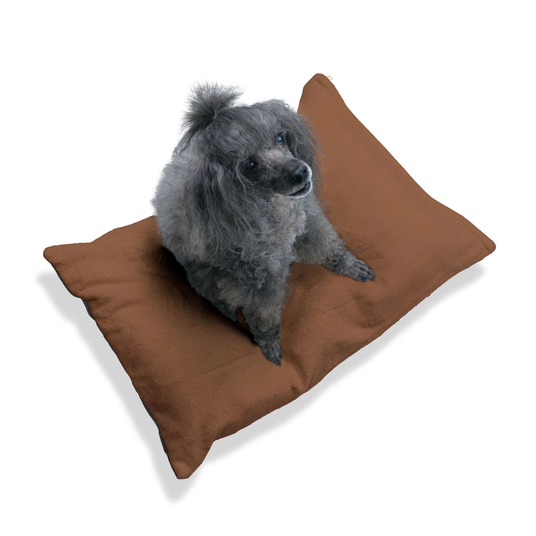 Buy The Best By Artsulli x Color Printify - Pet Bed - 2025
