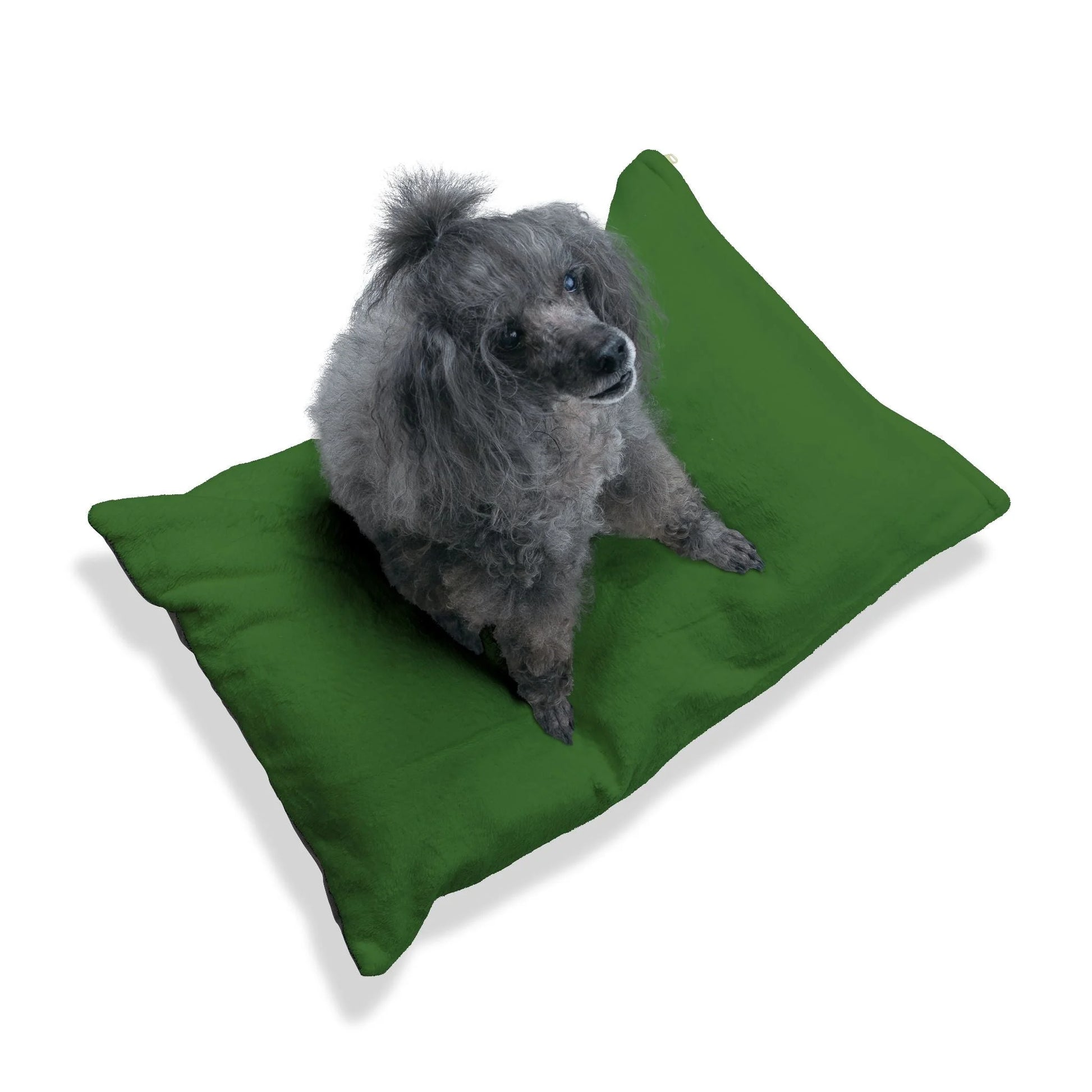 Buy The Best By Artsulli x Color Printify - Pet Bed - 2025