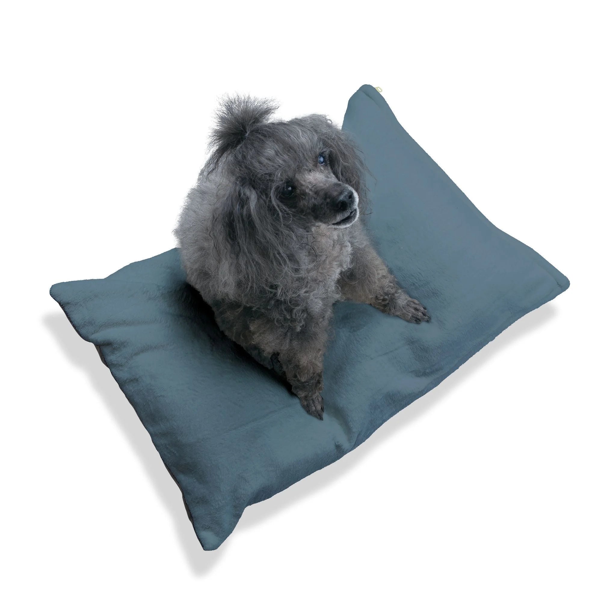 Buy The Best By Artsulli x Color Printify - Pet Bed - 2025