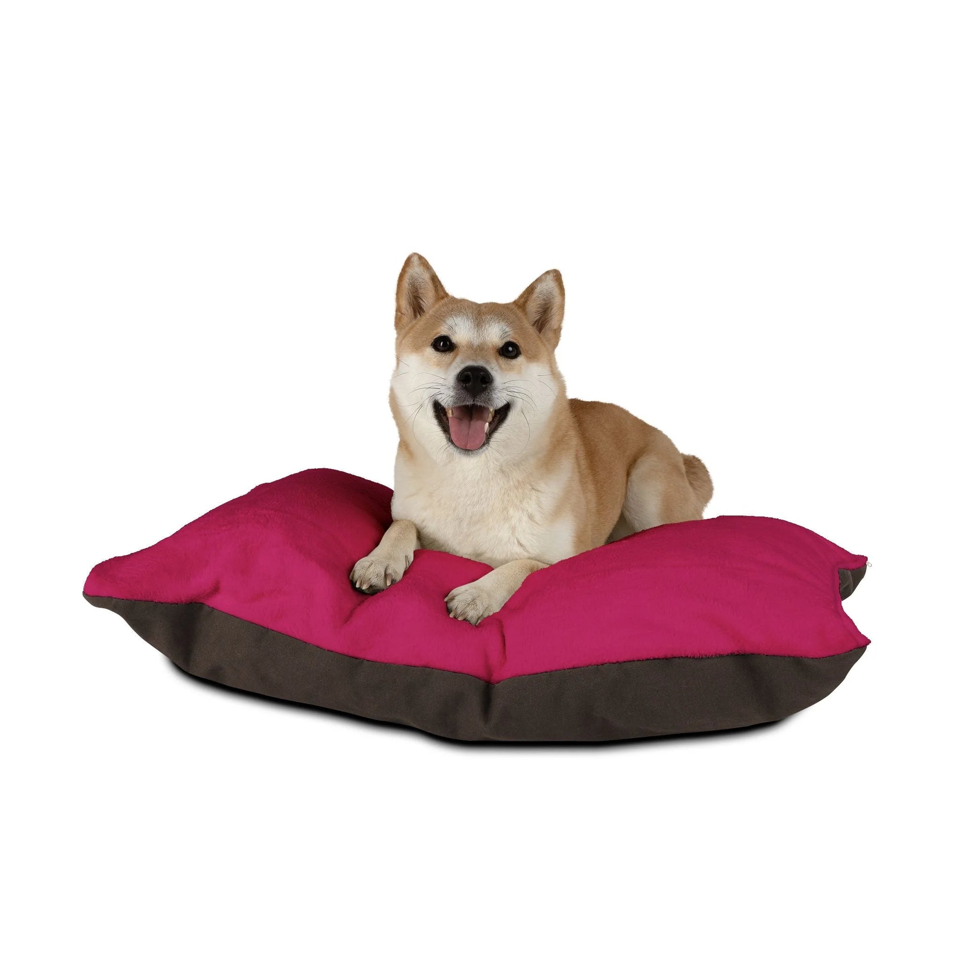 Buy The Best By Artsulli x Color Printify - Pet Bed - 2025