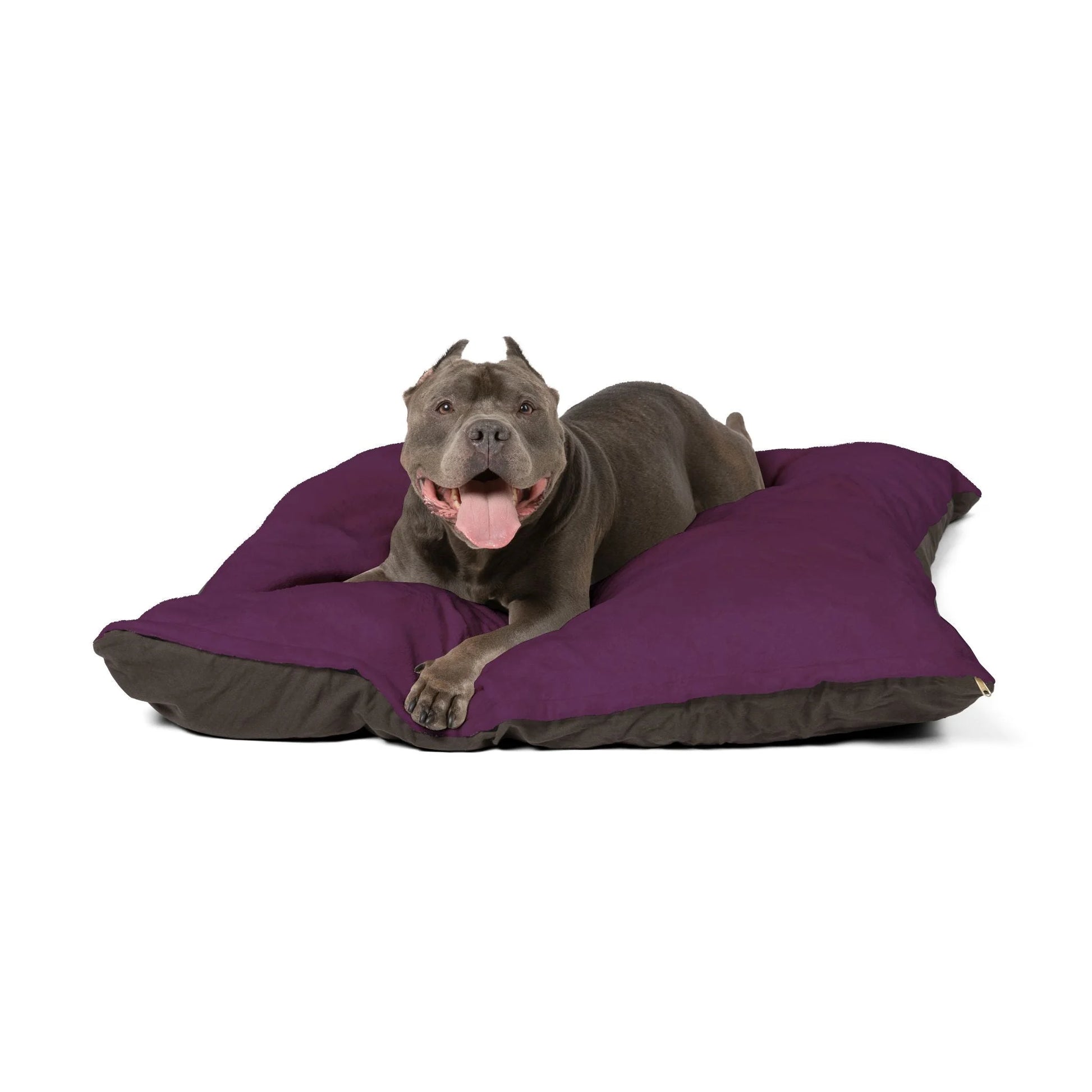Buy The Best By Printify - Pet Bed - 2025