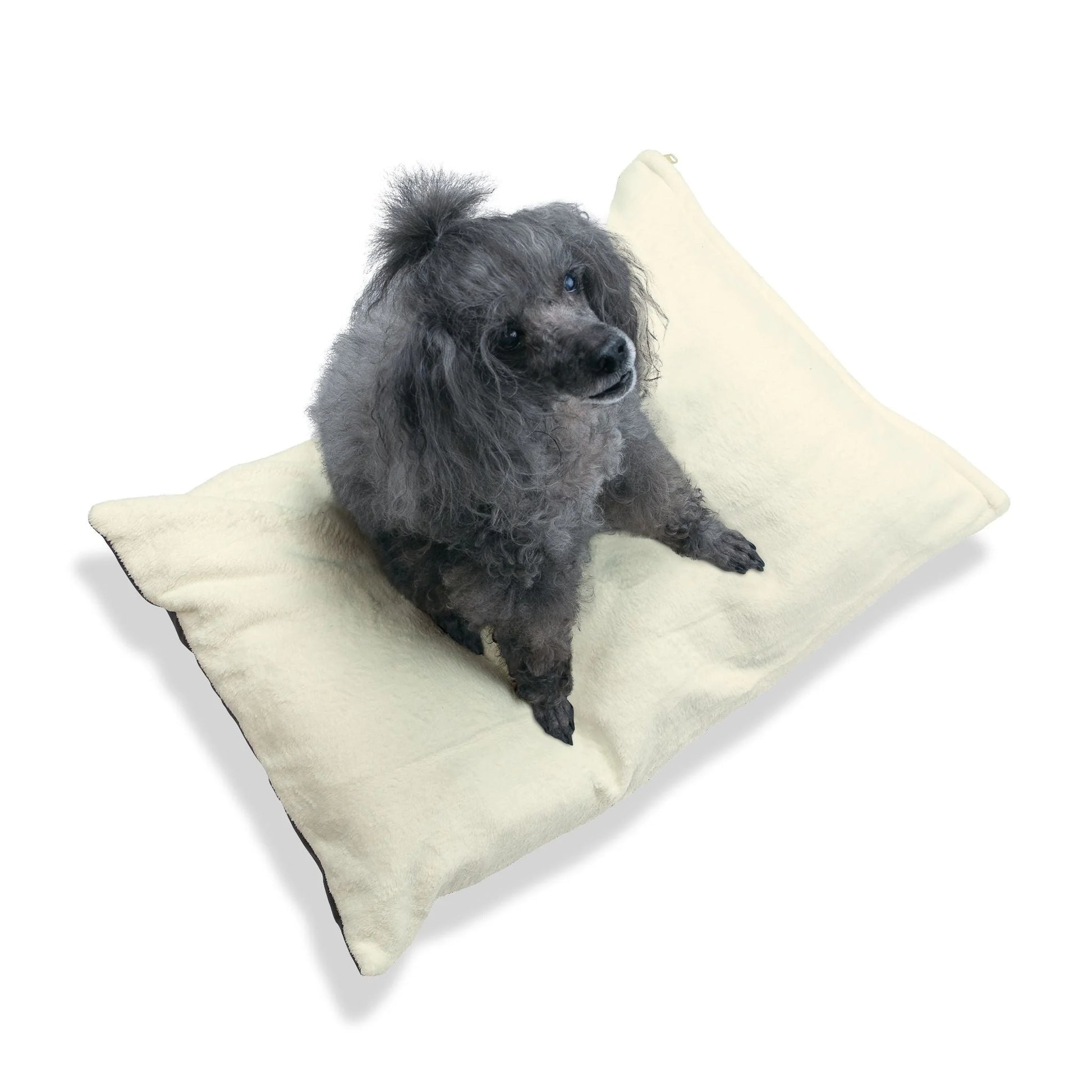 Buy The Best By Artsulli x Color Printify - Pet Bed - 2025