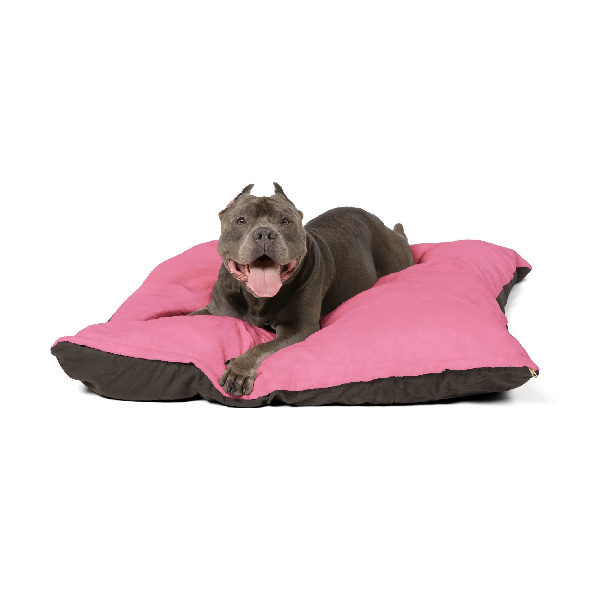 Buy The Best By Artsulli x Color Printify - Pet Bed - 2025
