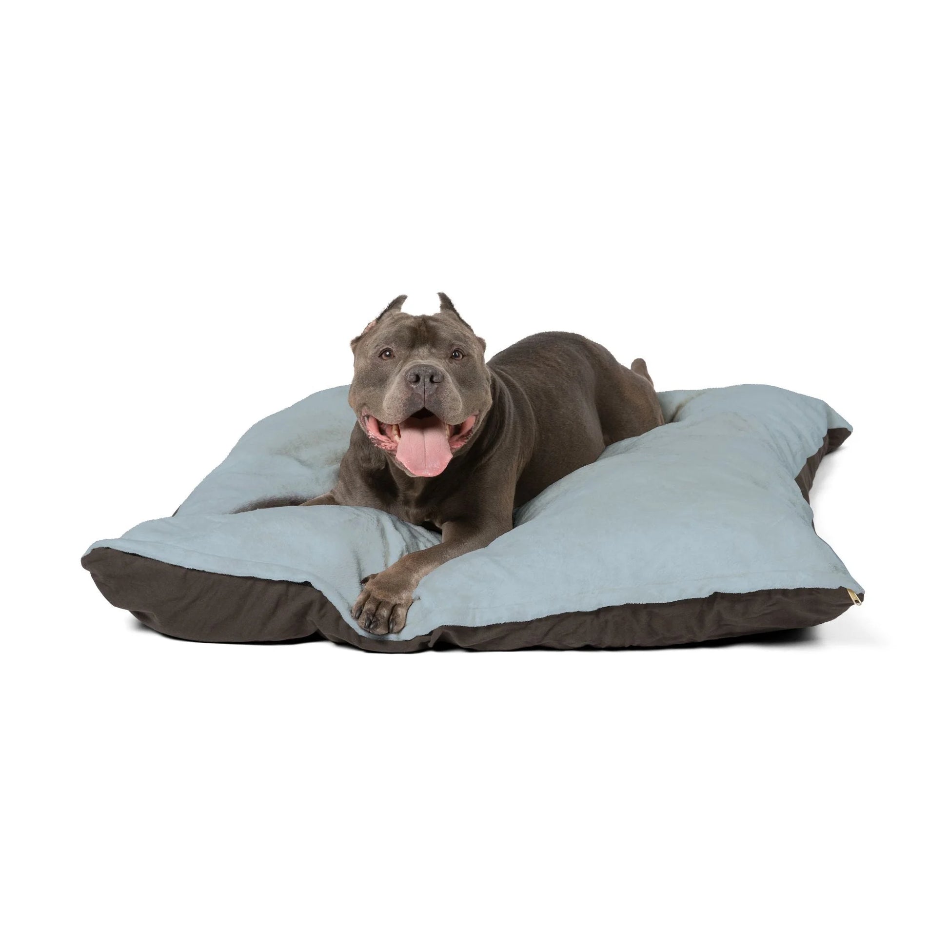Buy The Best By Artsulli x Color Printify - Pet Bed - 2025