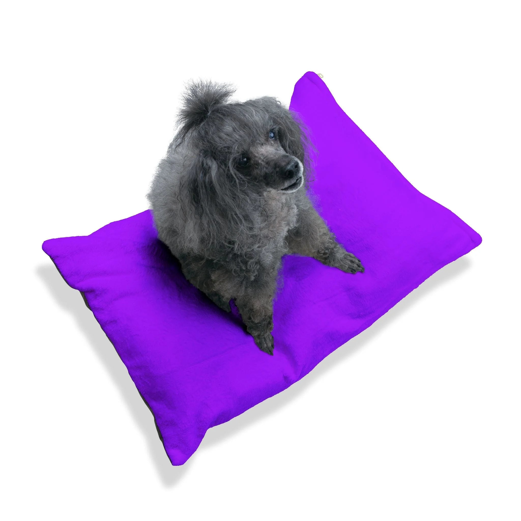 Buy The Best By Artsulli x Color Printify - Pet Bed - 2025