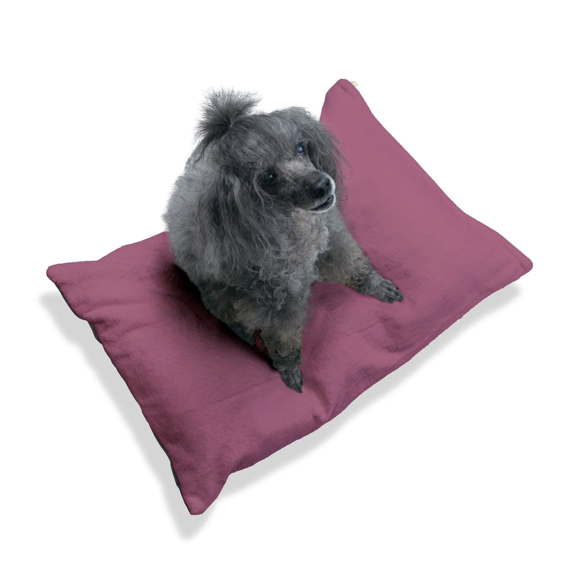 Buy The Best By Printify - Pet Bed - 2025