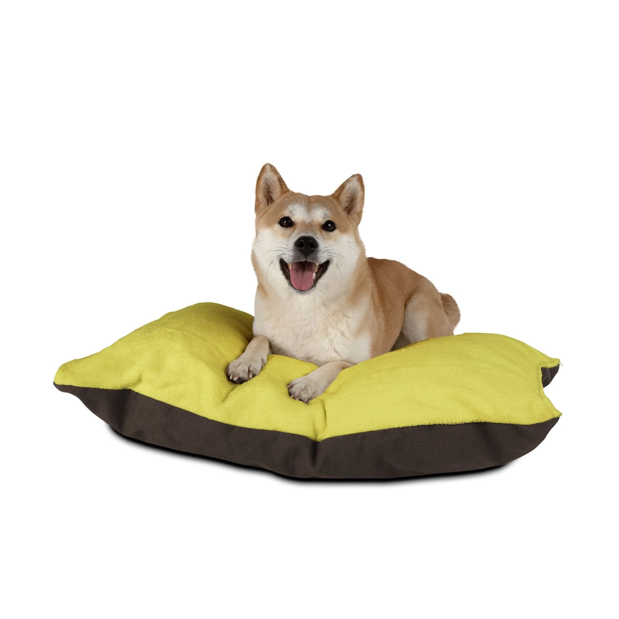 Buy The Best By Artsulli x Color Printify - Pet Bed - 2025