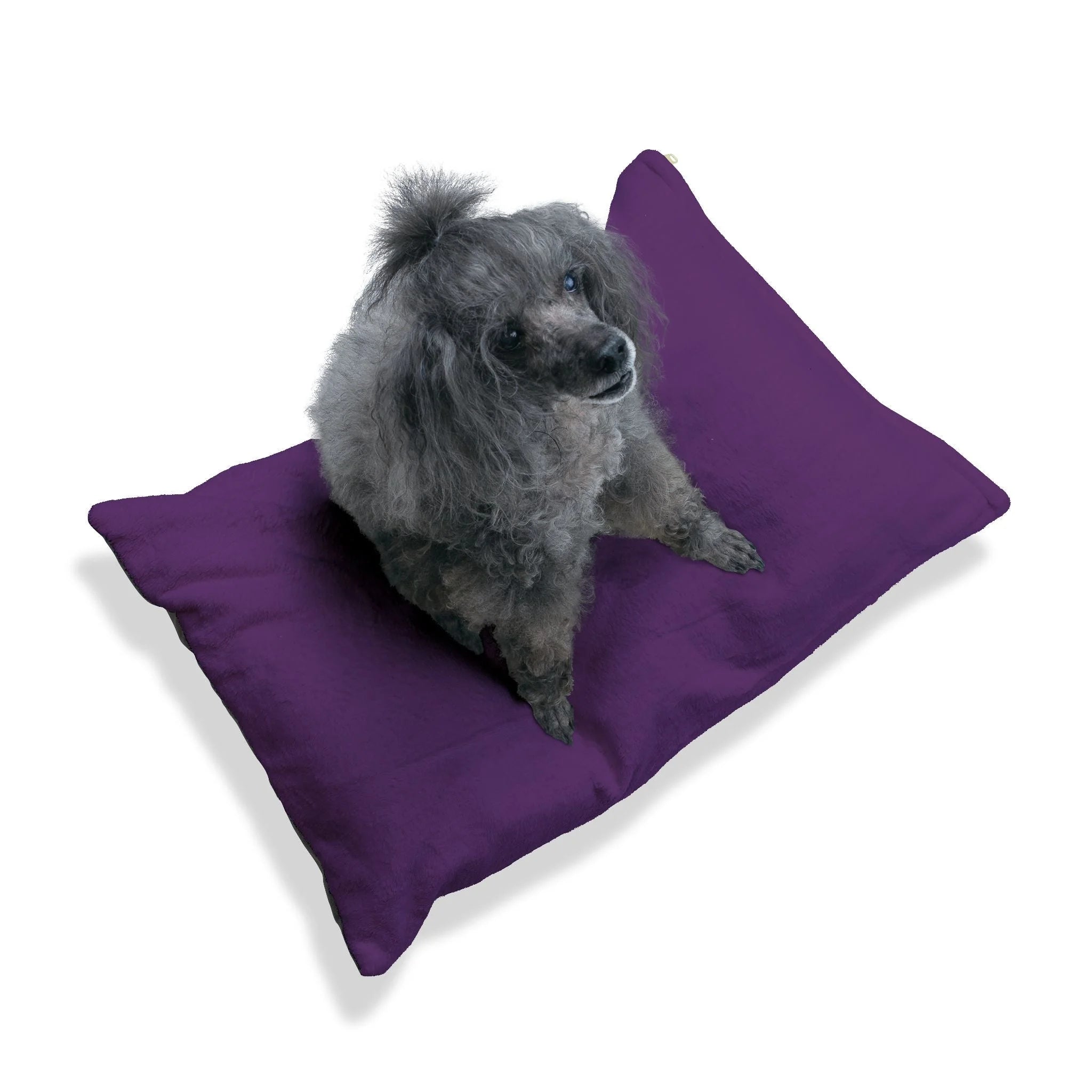 Buy The Best By Artsulli x Color Printify - Pet Bed - 2025