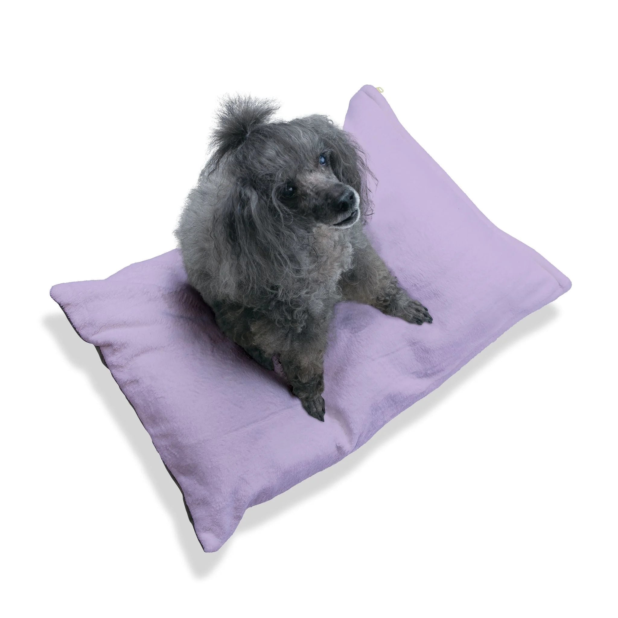 Buy The Best By Artsulli x Color Printify - Pet Bed - 2025