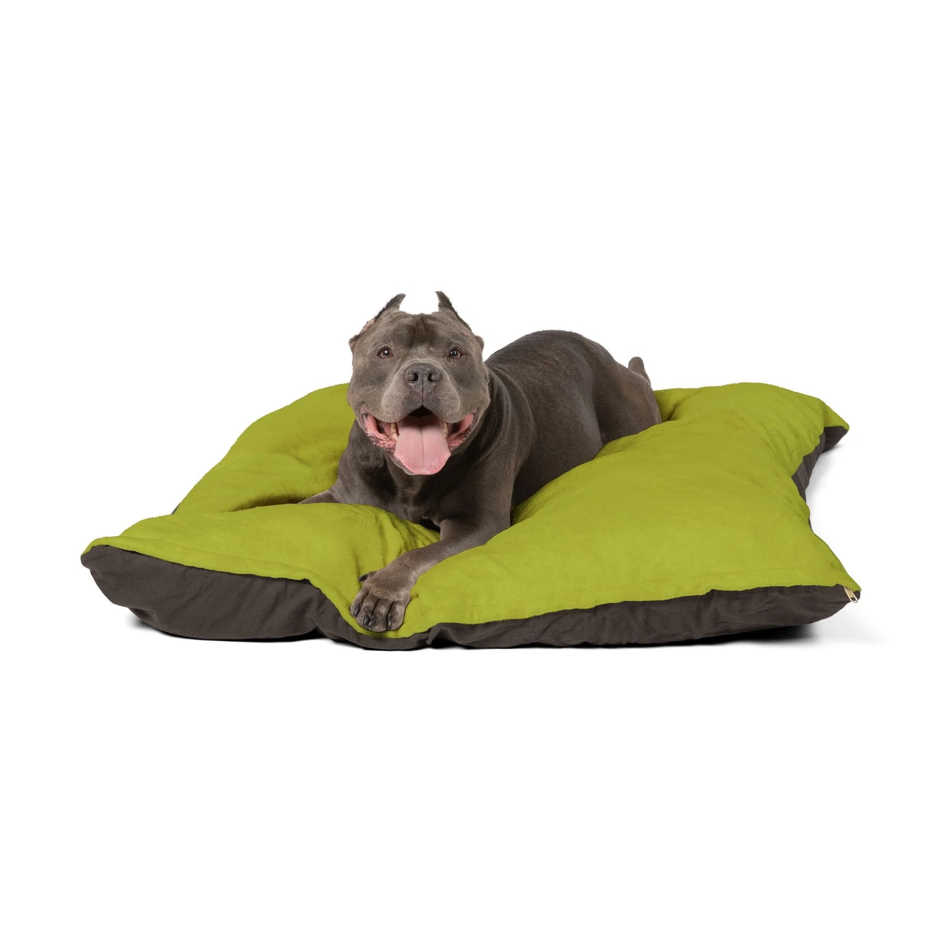 Buy The Best By Artsulli x Color Printify - Pet Bed - 2025
