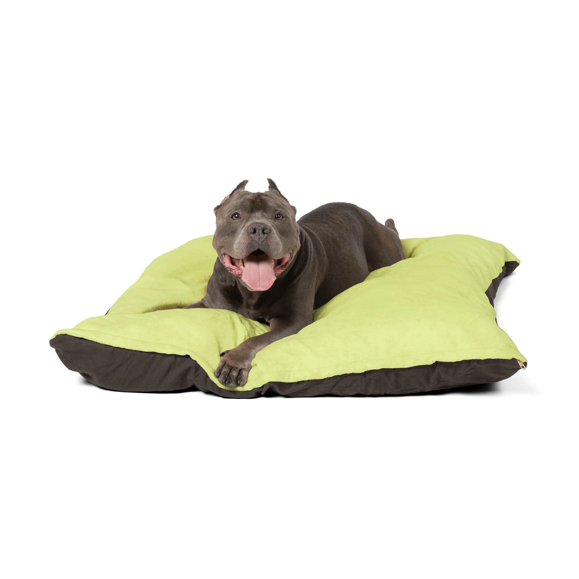 Buy The Best By Artsulli x Color Printify - Pet Bed - 2025