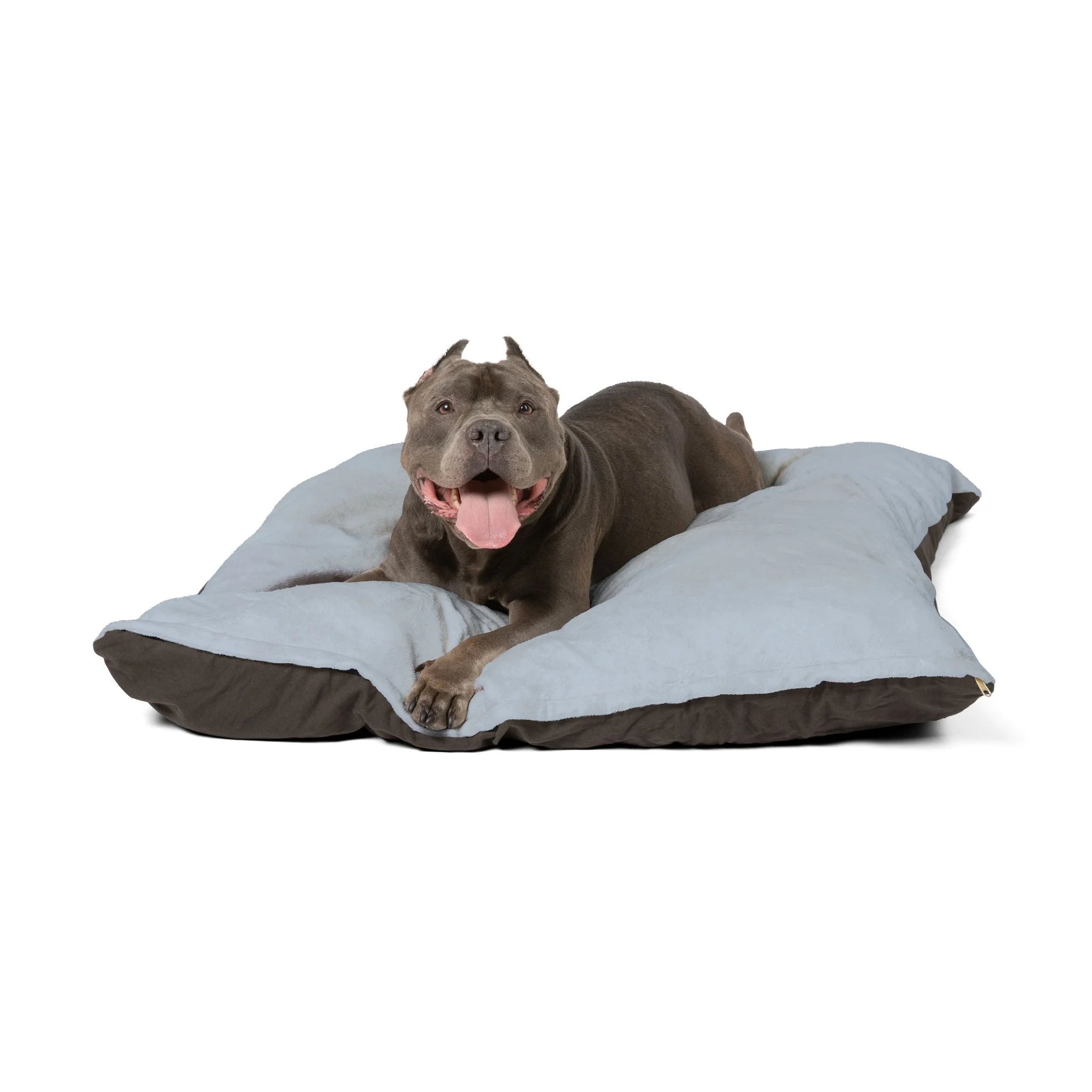 Buy The Best By Artsulli x Color Printify - Pet Bed - 2025
