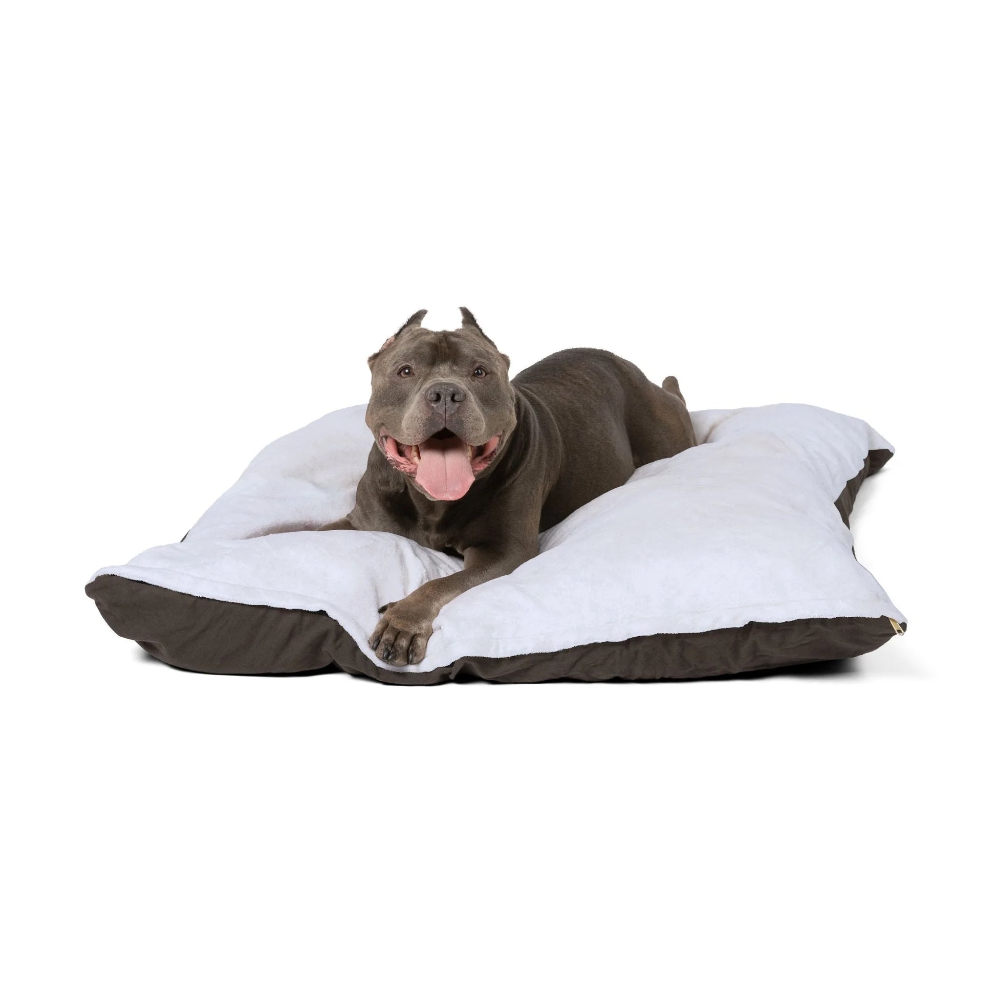 Buy The Best By Artsulli x Color Printify - Pet Bed - 2025