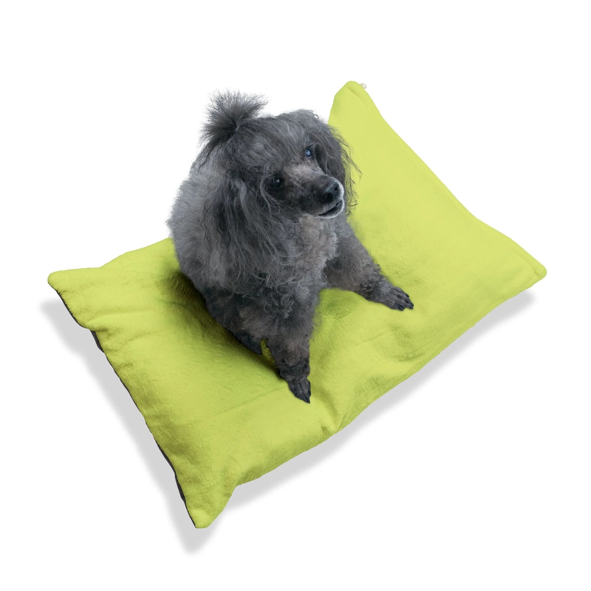 Buy The Best By Artsulli x Color Printify - Pet Bed - 2025