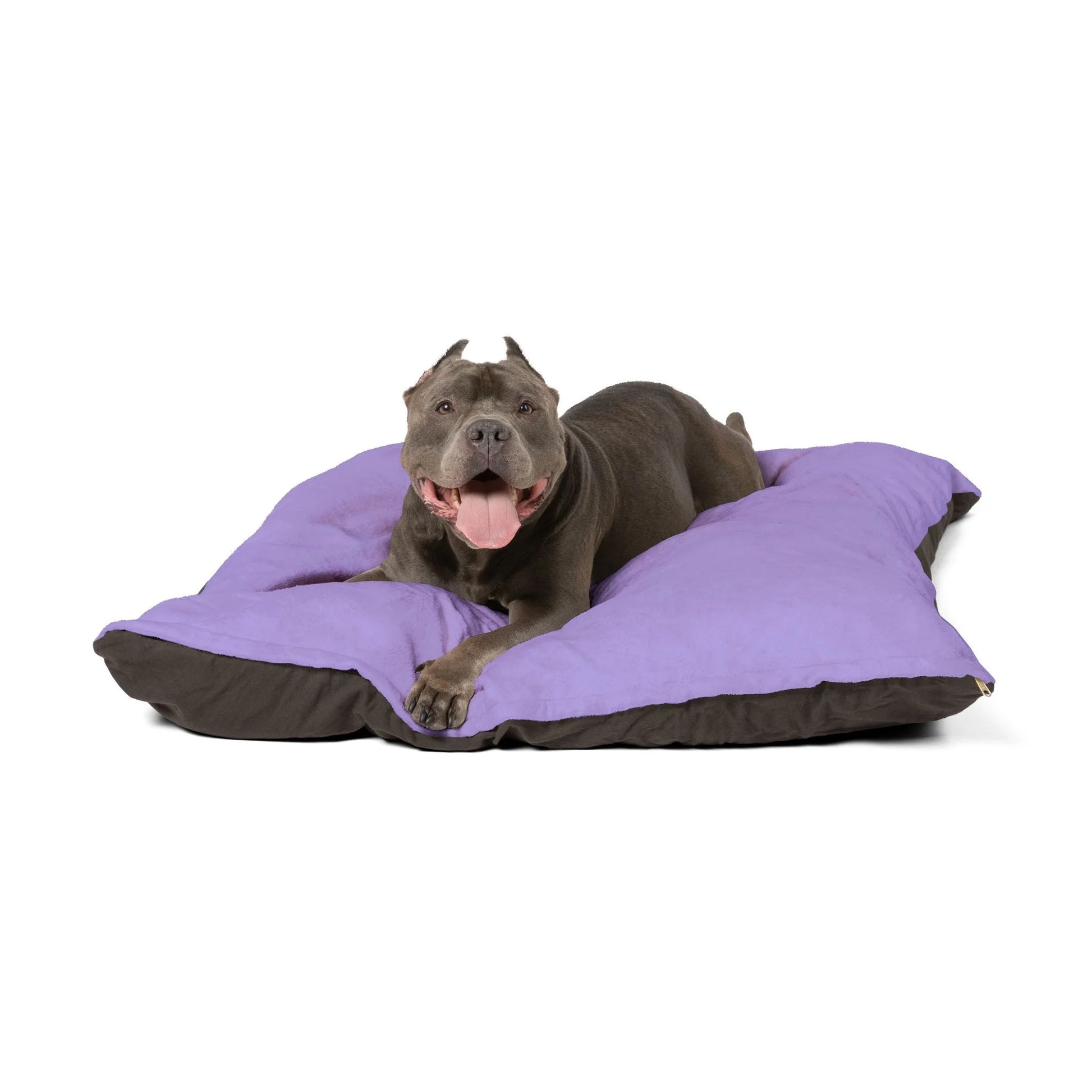 Buy The Best By Artsulli x Color Printify - Pet Bed - 2025
