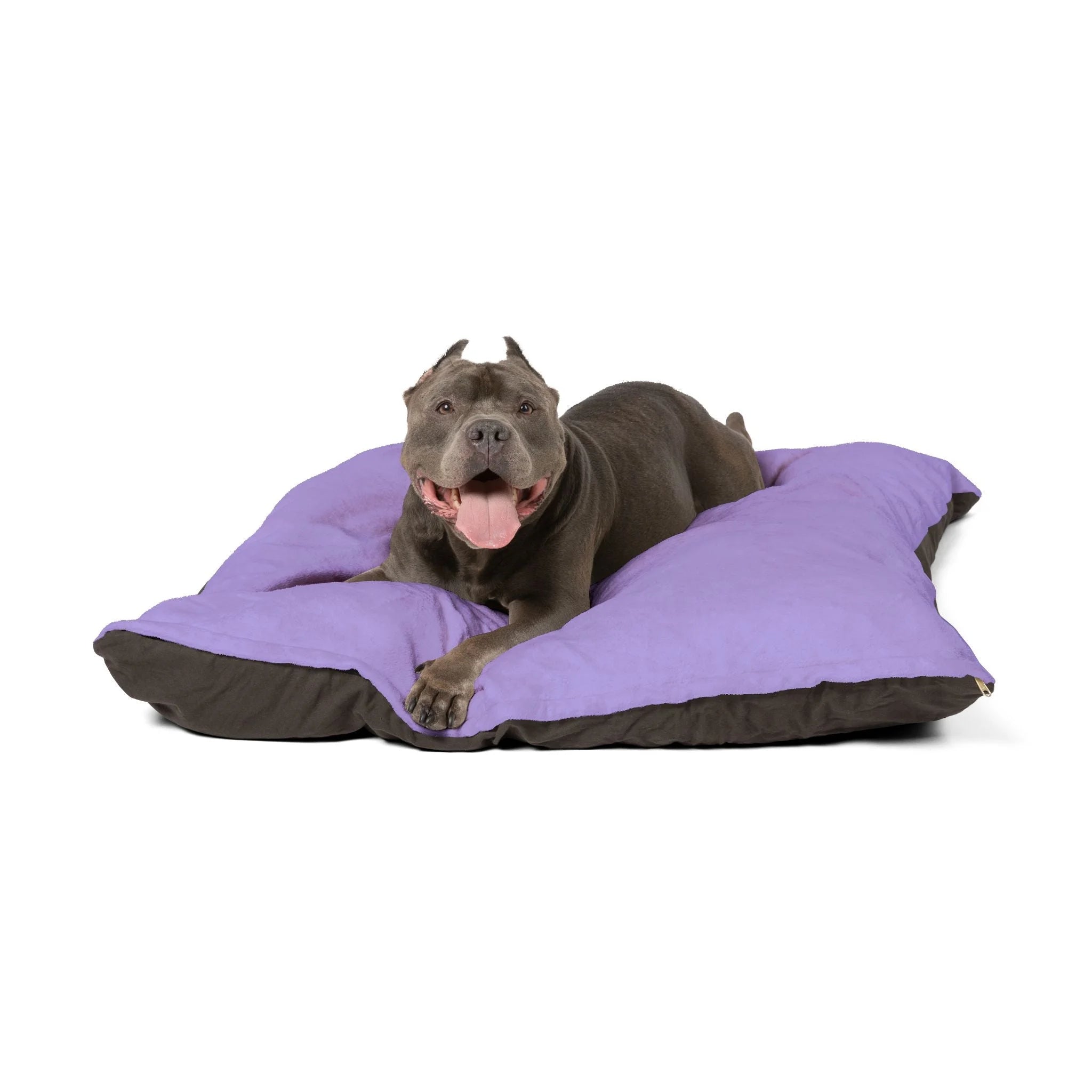 Buy The Best By Artsulli x Color Printify - Pet Bed - 2025