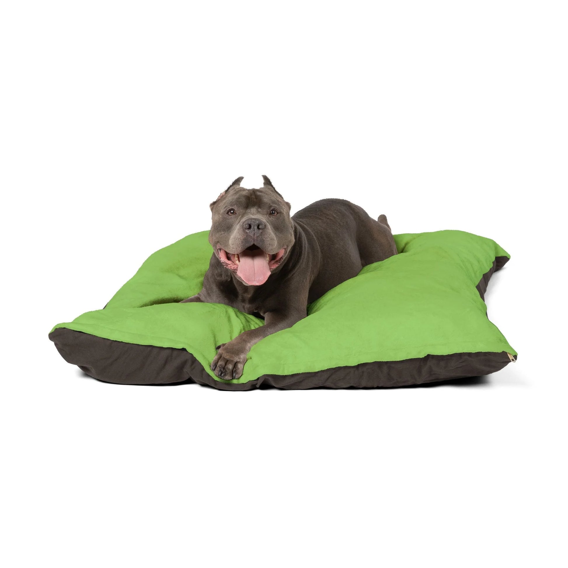 Buy The Best By Artsulli x Color Printify - Pet Bed - 2025