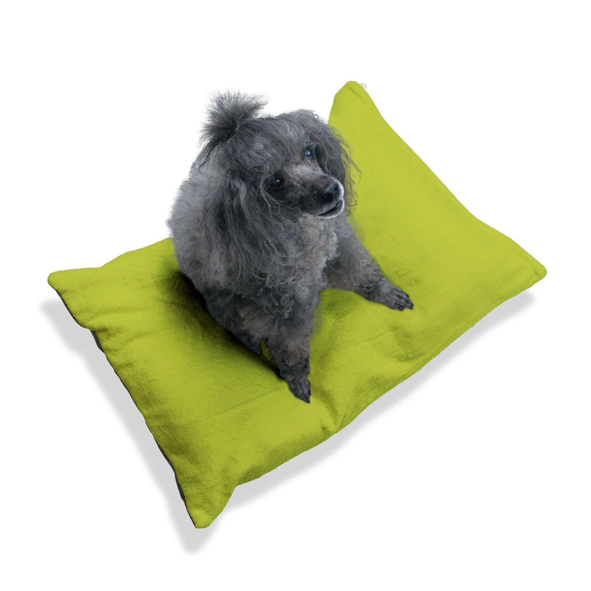 Buy The Best By Artsulli x Color Printify - Pet Bed - 2025
